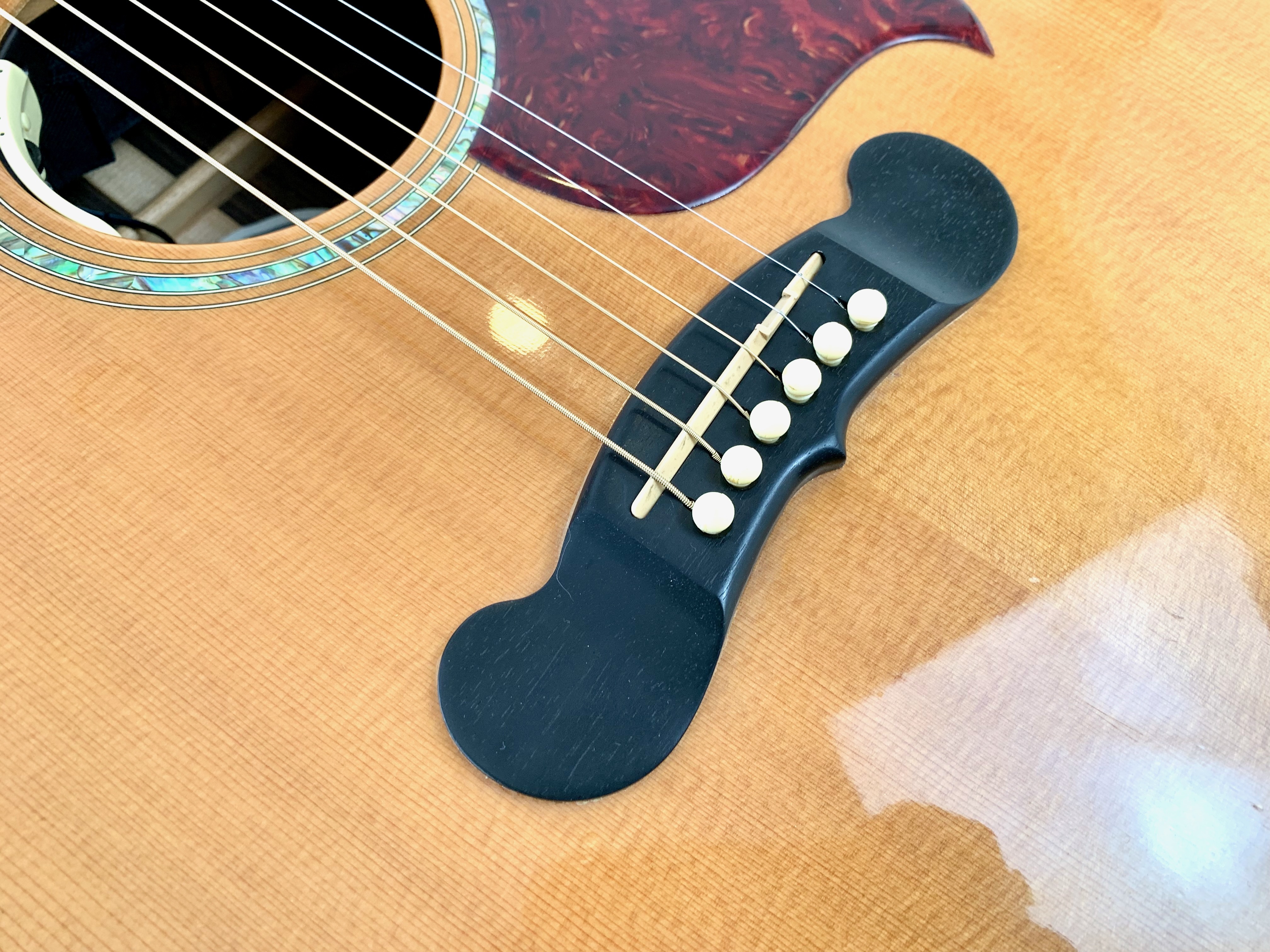 Gibson Songwriter Deluxe Custom EC (29779)