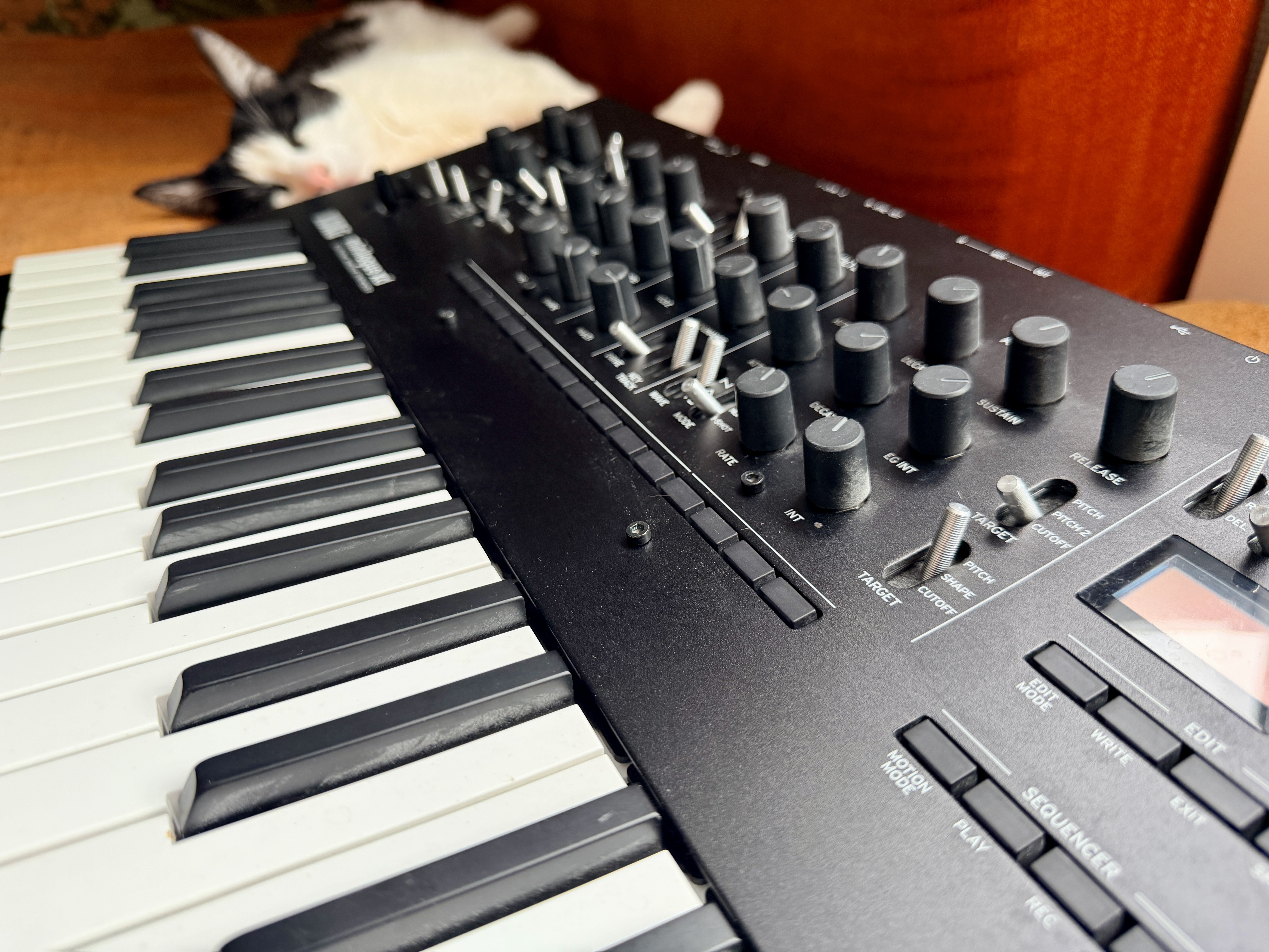 Korg Minilogue XD (95781)