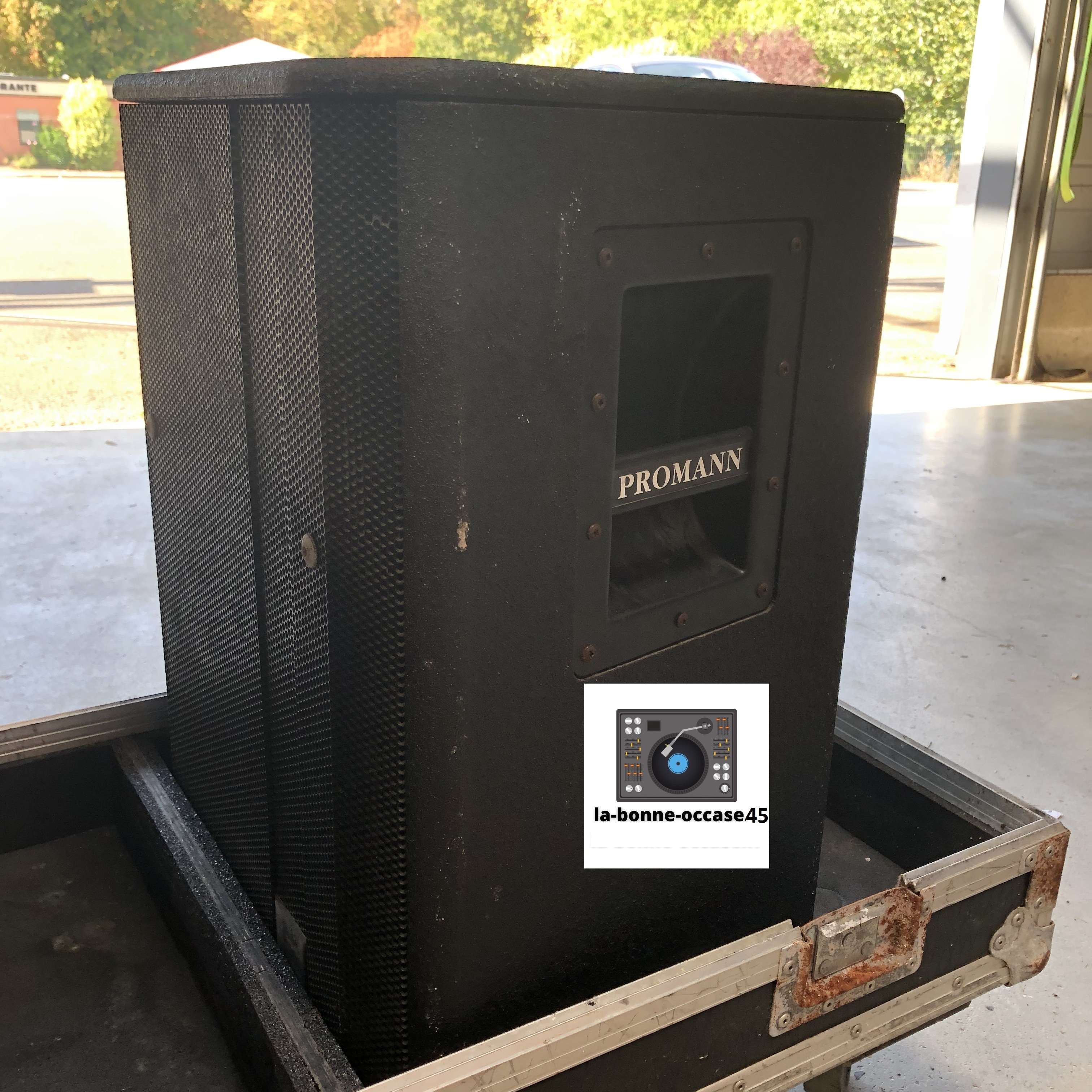 Vend enceinte PC 312 Promann Hortus