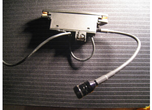 Fishman Rare Earth Blend (16811)