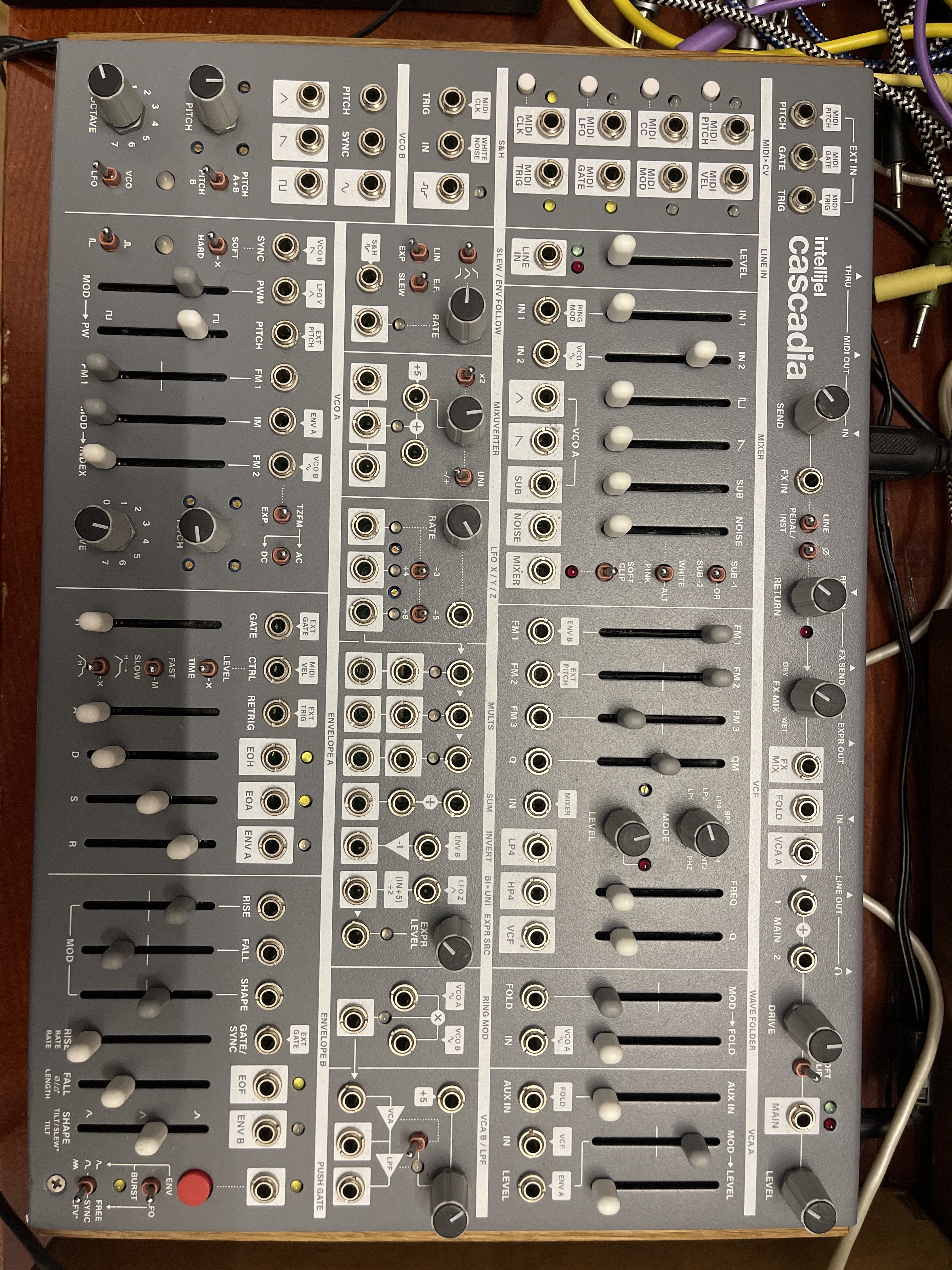 Intellijel Designs Cascadia