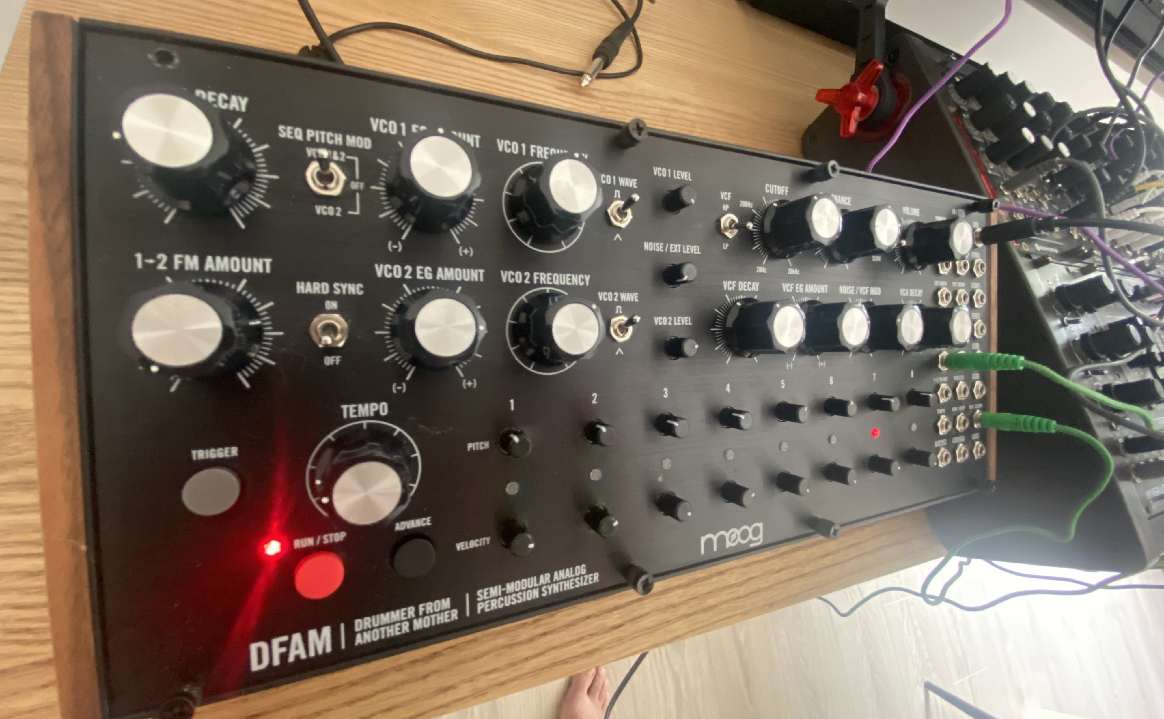 Moog dfam