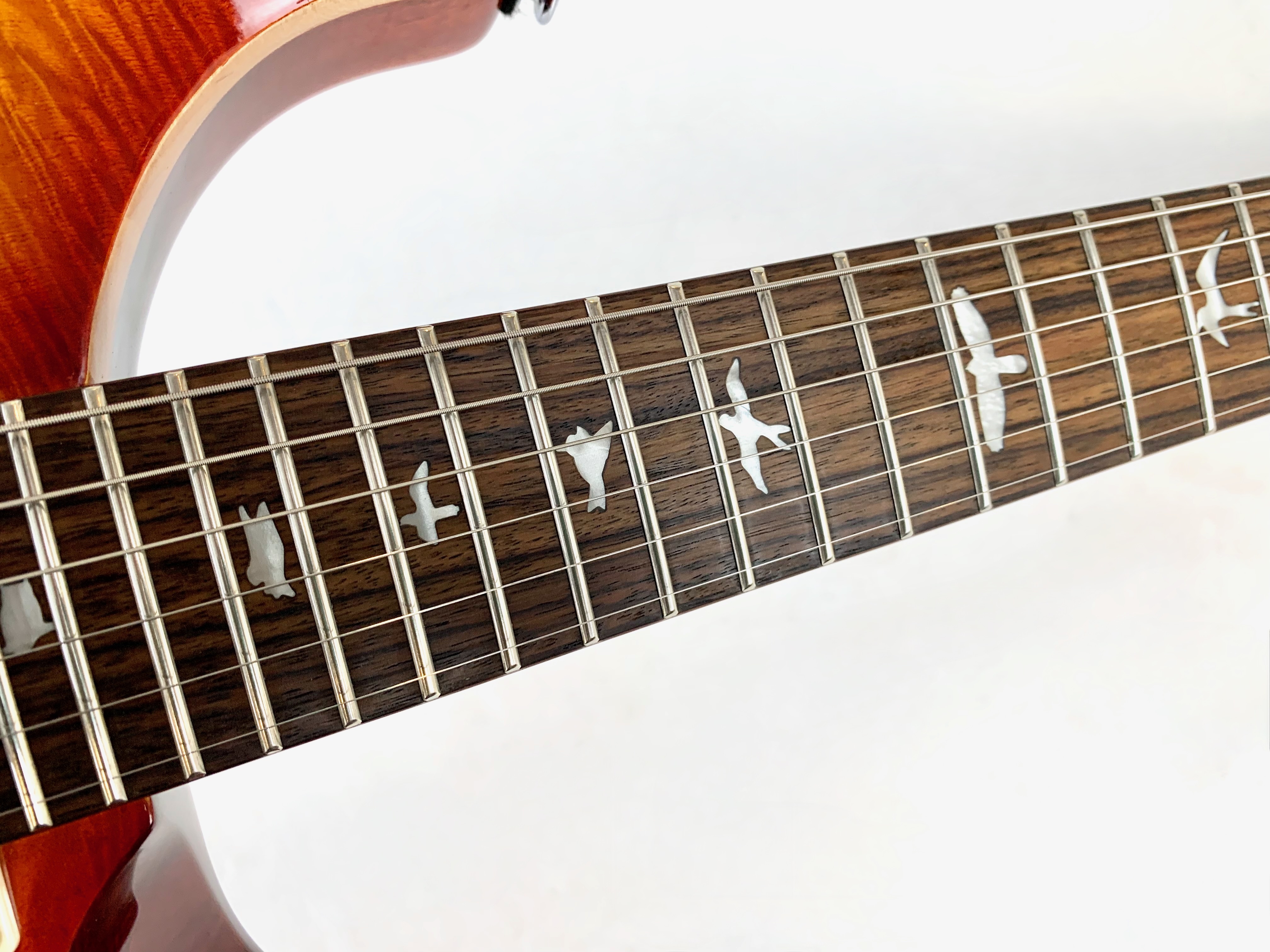 PRS SE Custom 24-08 (57990)