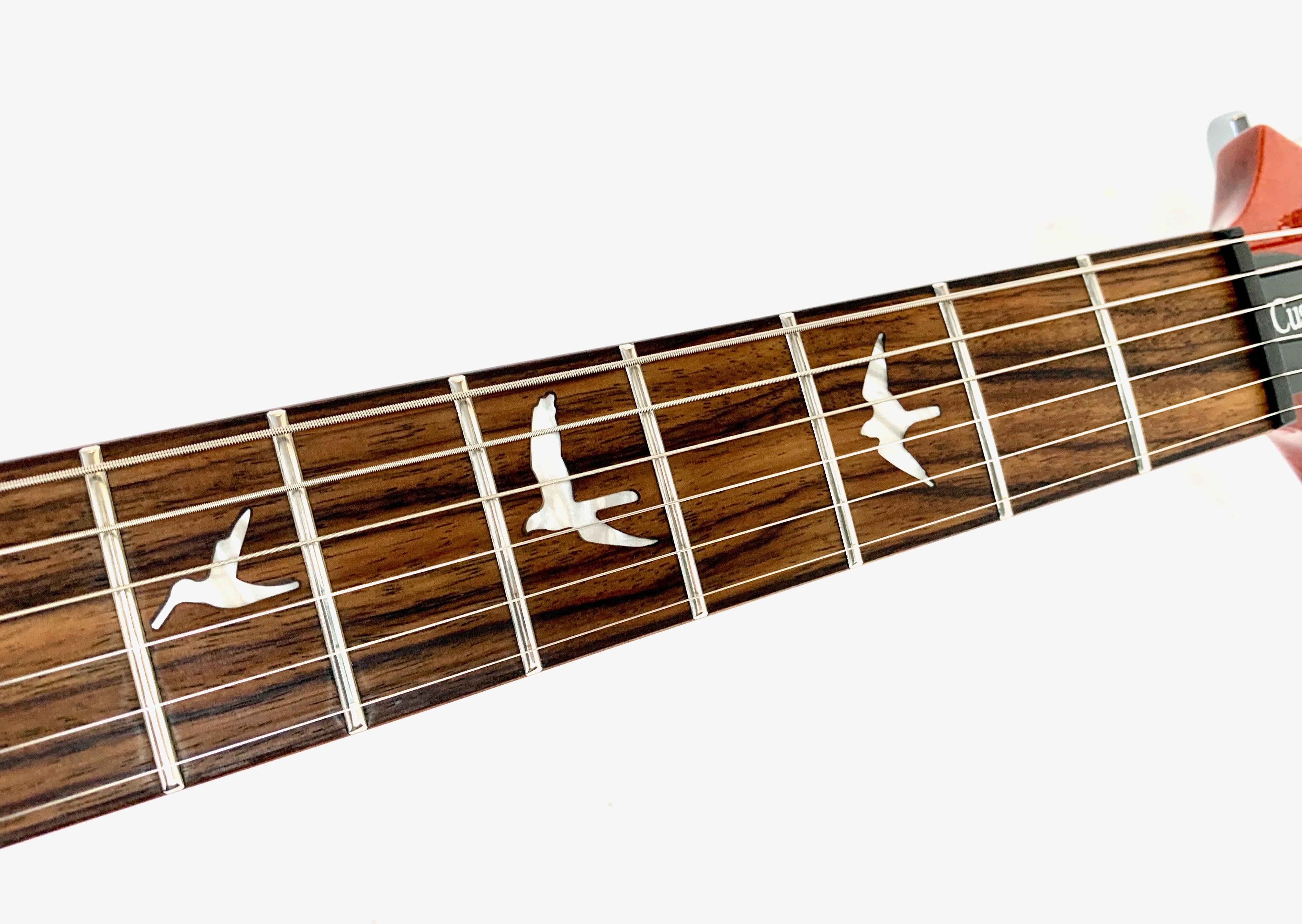 PRS SE Custom 24-08 (89335)