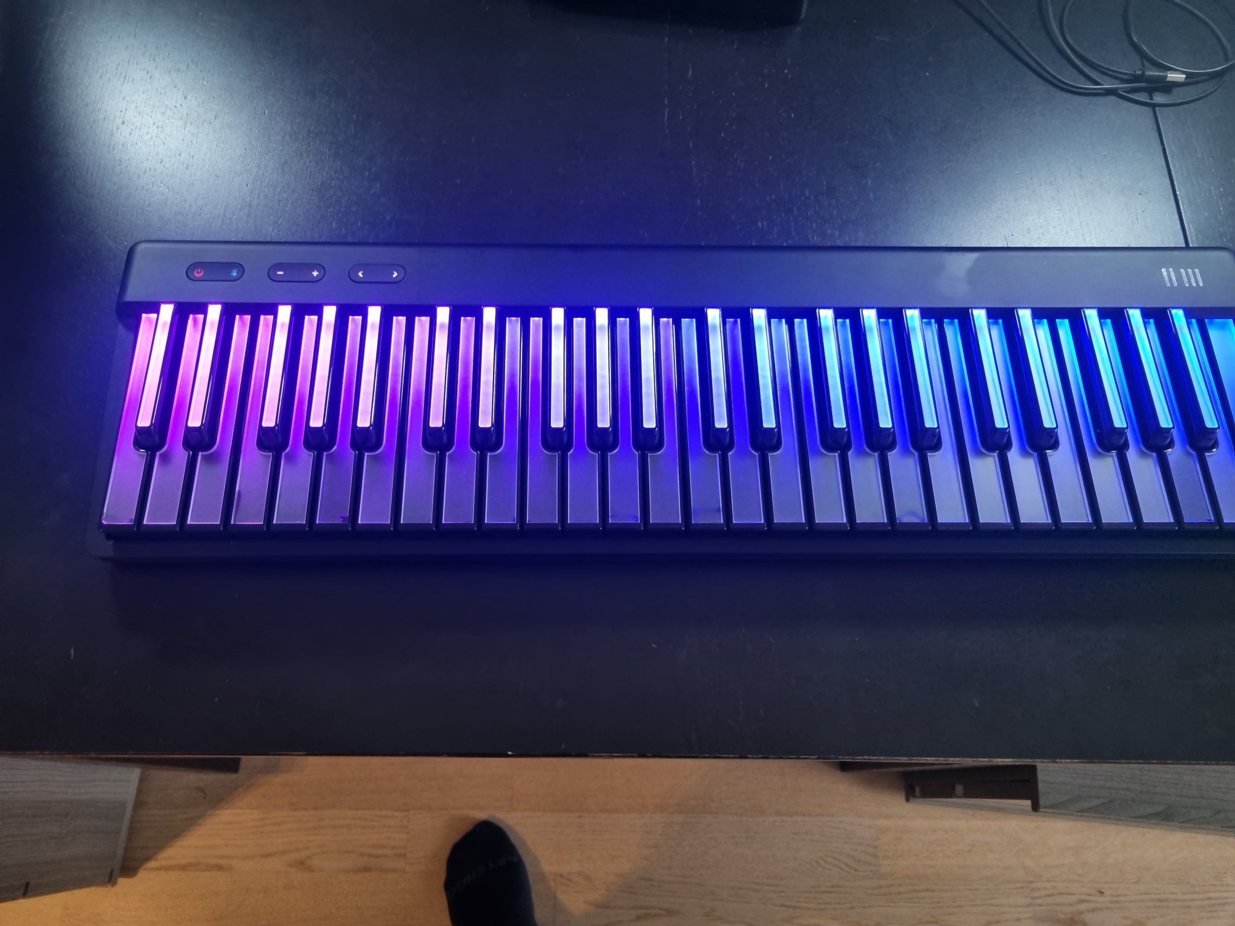 ROLI Piano 49 touches + pédale Sustain – Excellent état