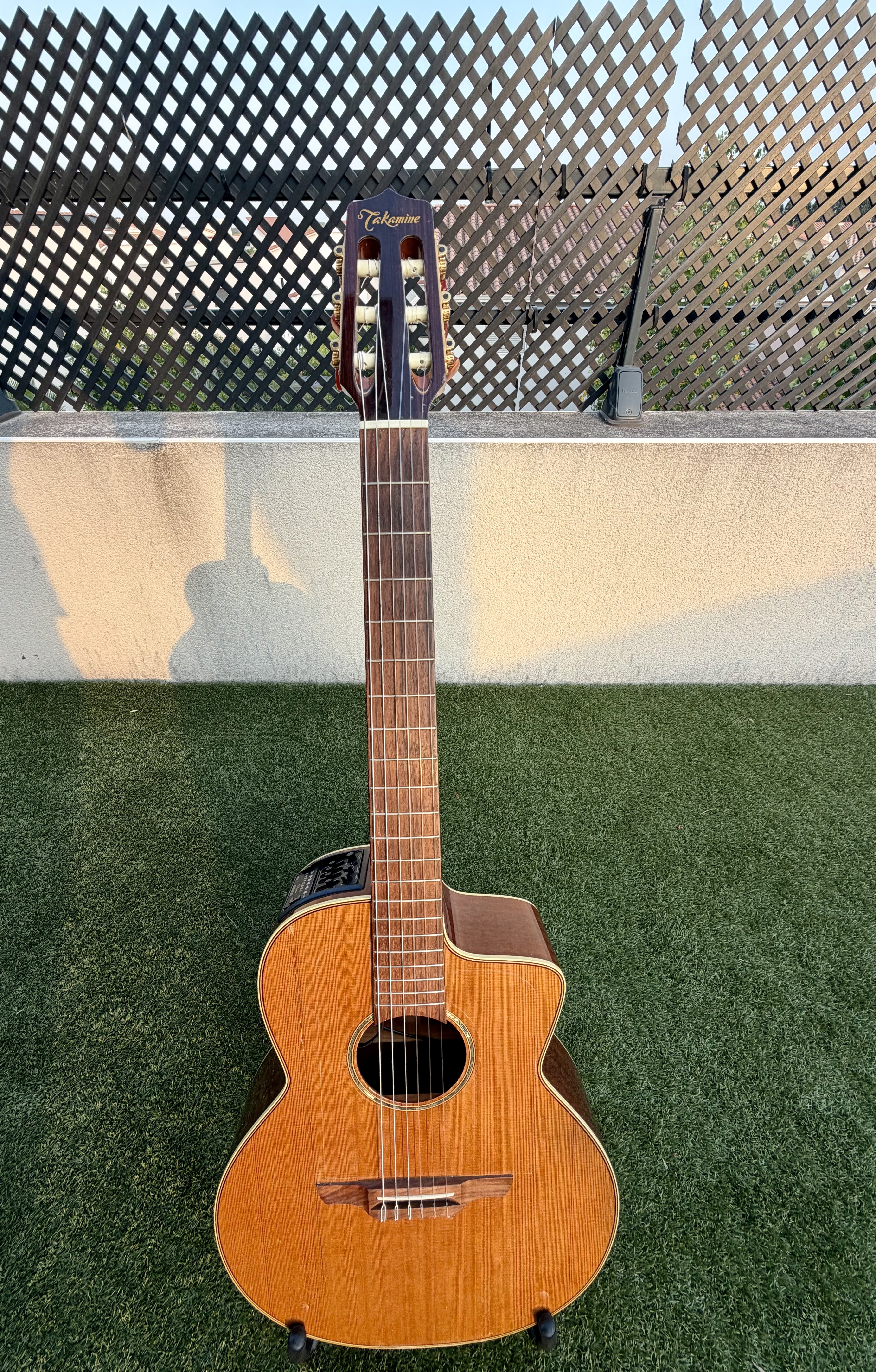 Takamine TAN650C