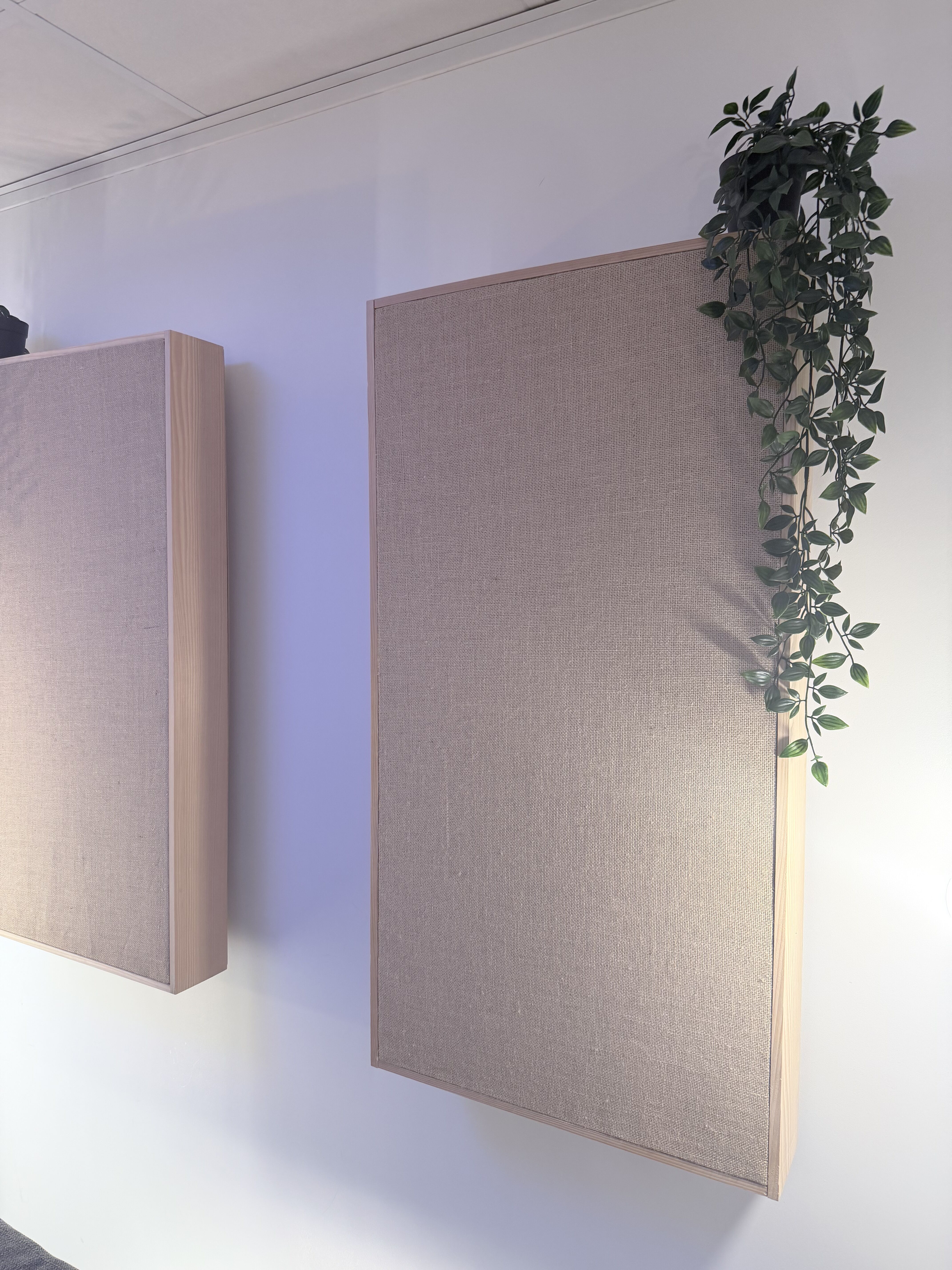 Vends panneaux basotect / en bois massif (sapin sans noeuds)