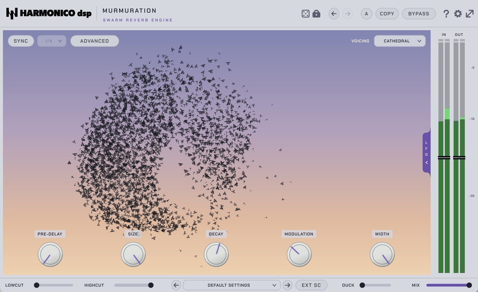 Murmuration