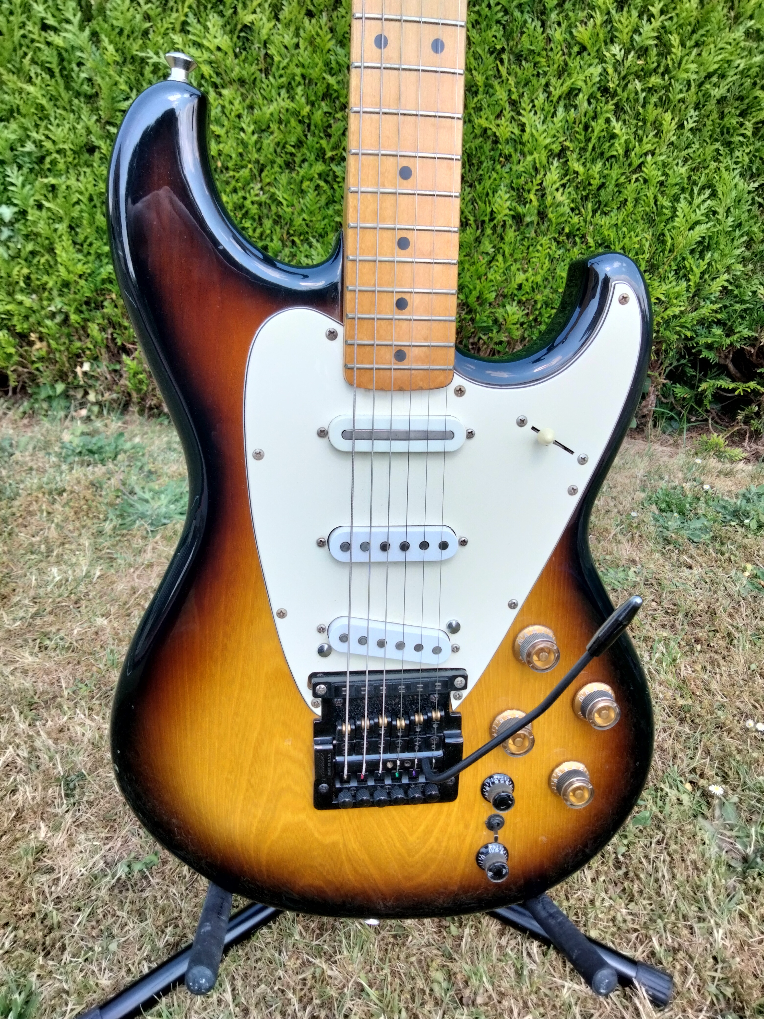 Roland GR-300 (14206)