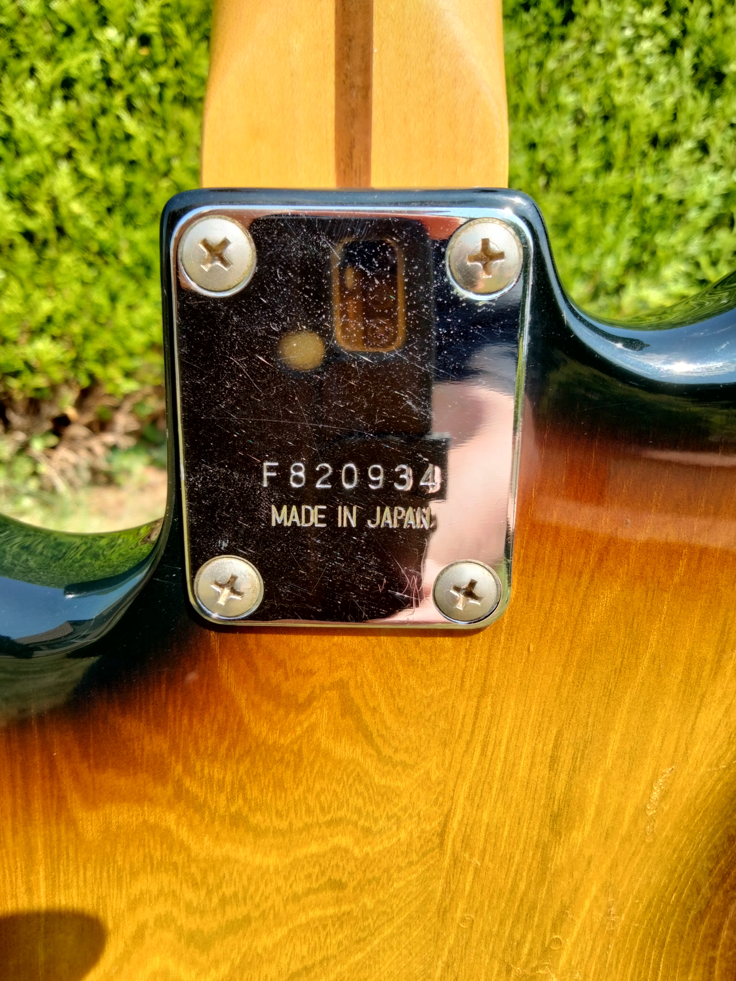 Roland GR-300 (87592)