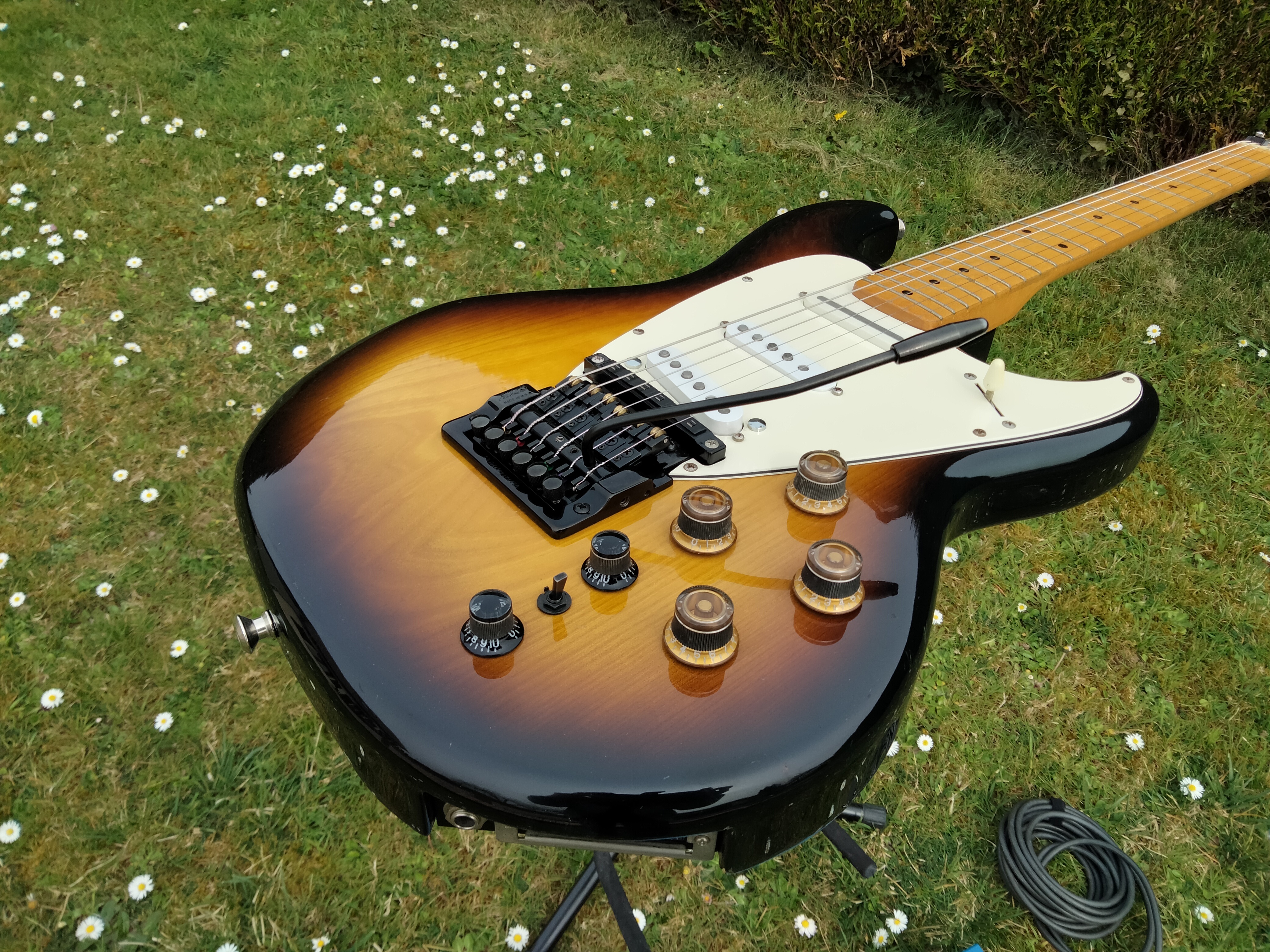 Roland GR-300 (44739)