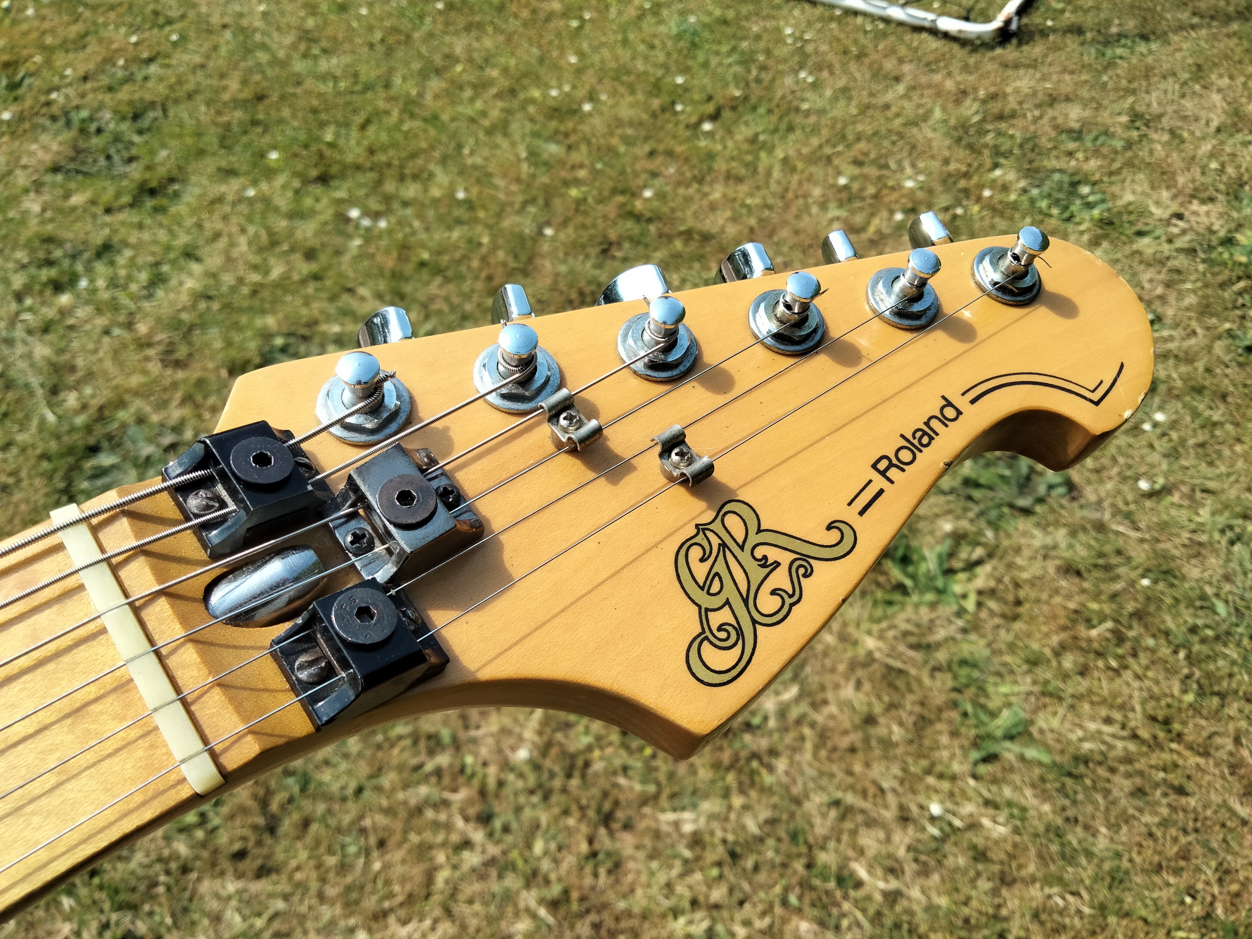 Roland GR-300 (6889)