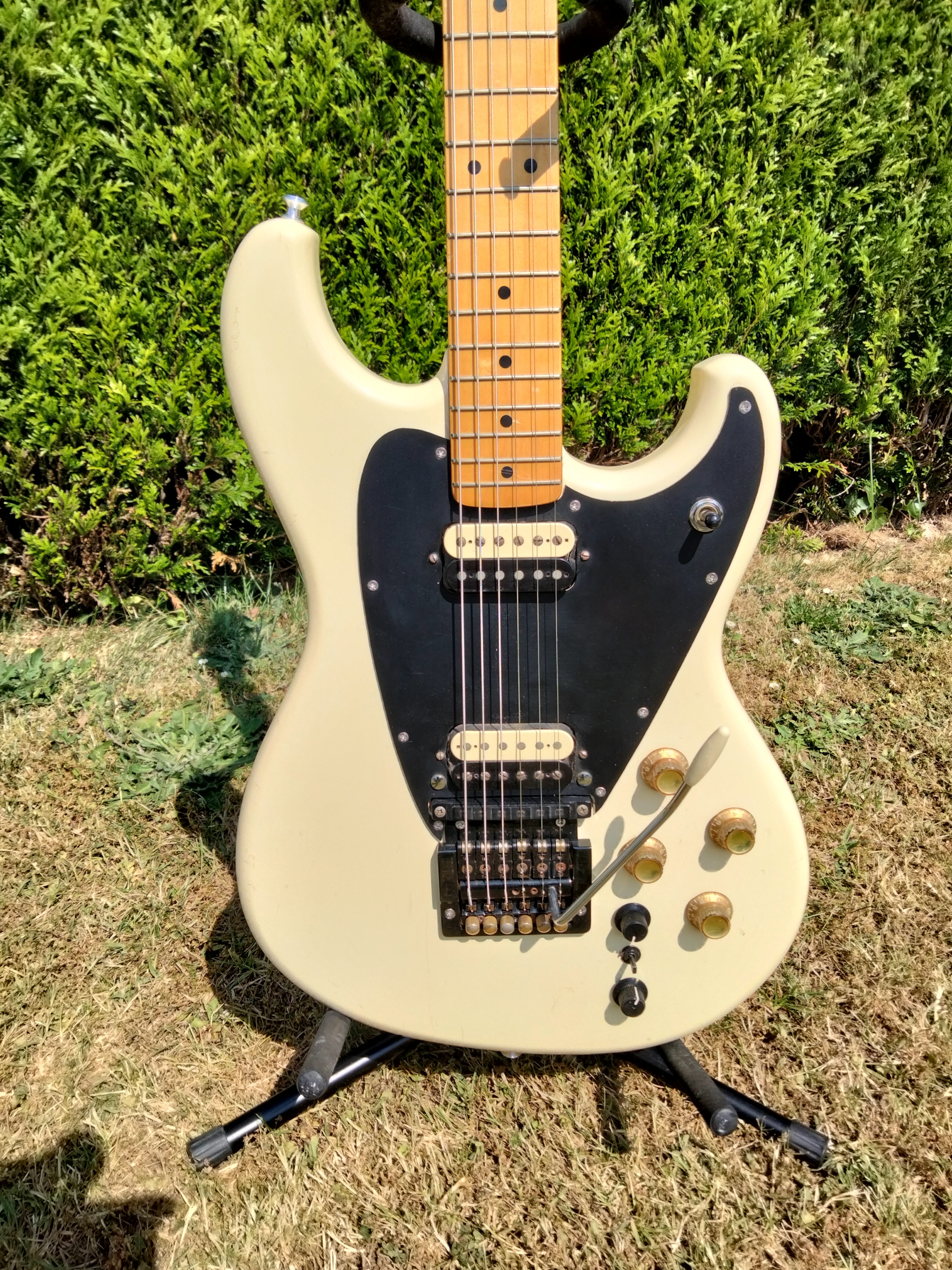 Roland GR-300 (48457)