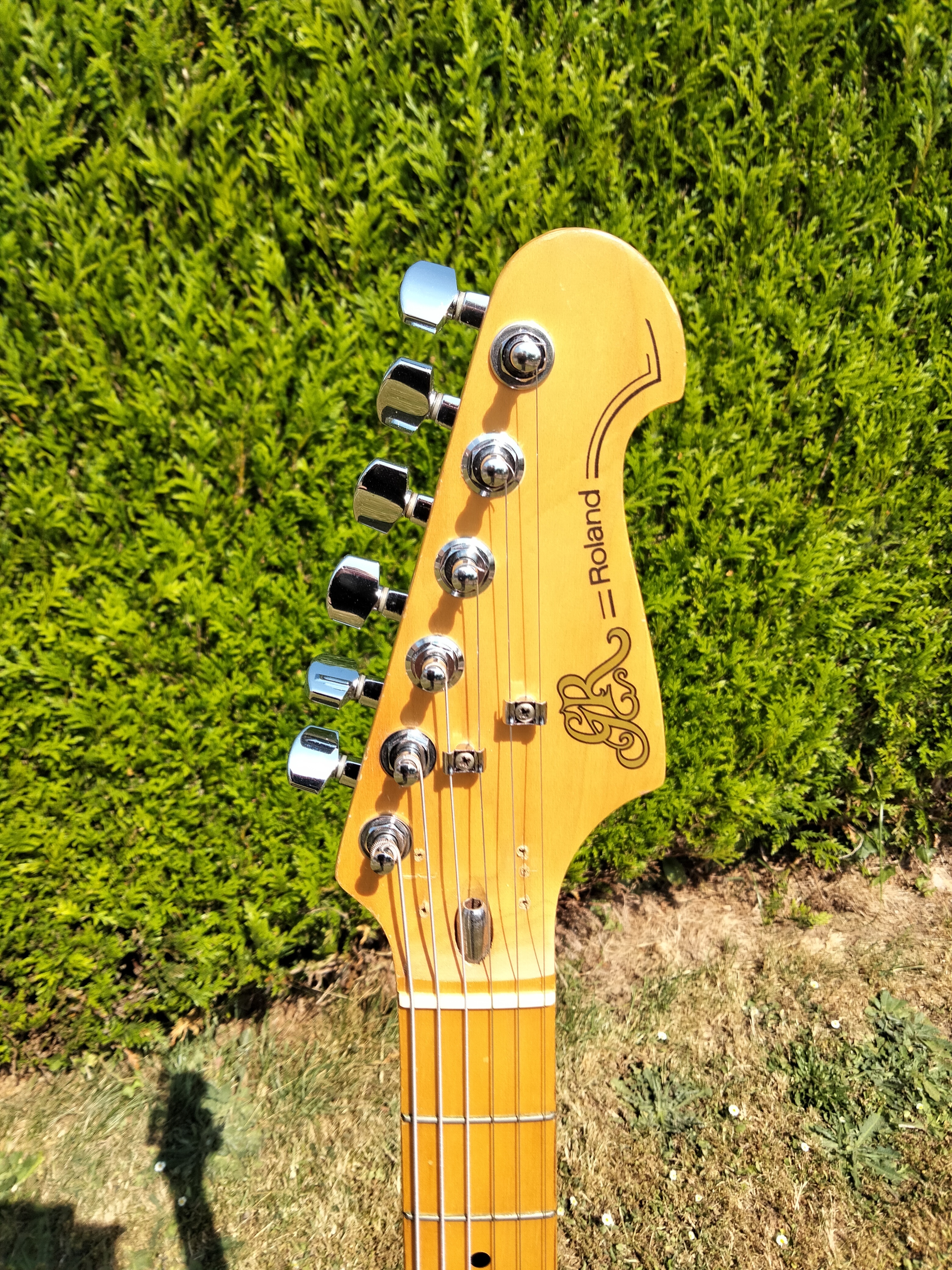 Roland GR-300 (96180)