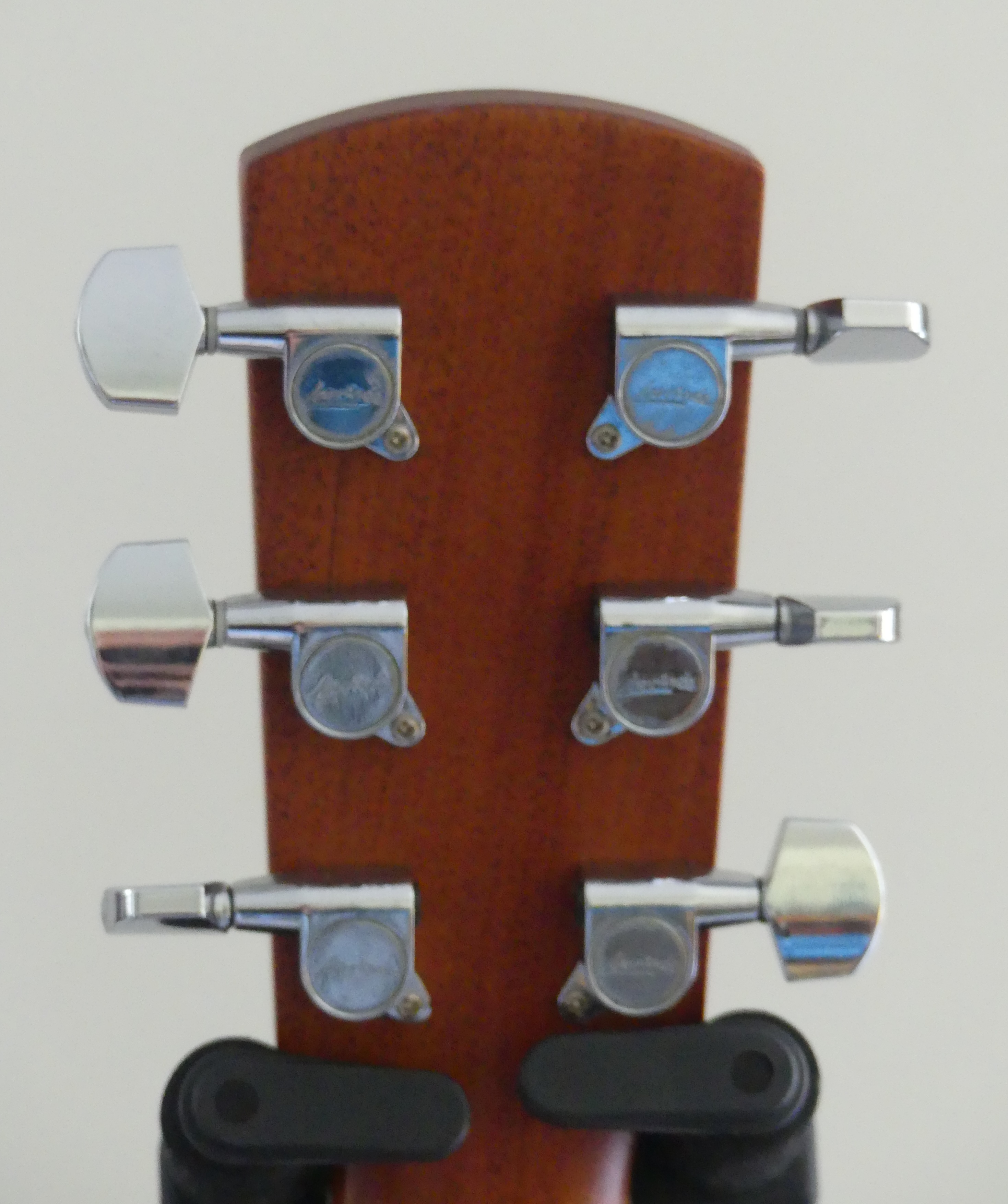 Tête de dos