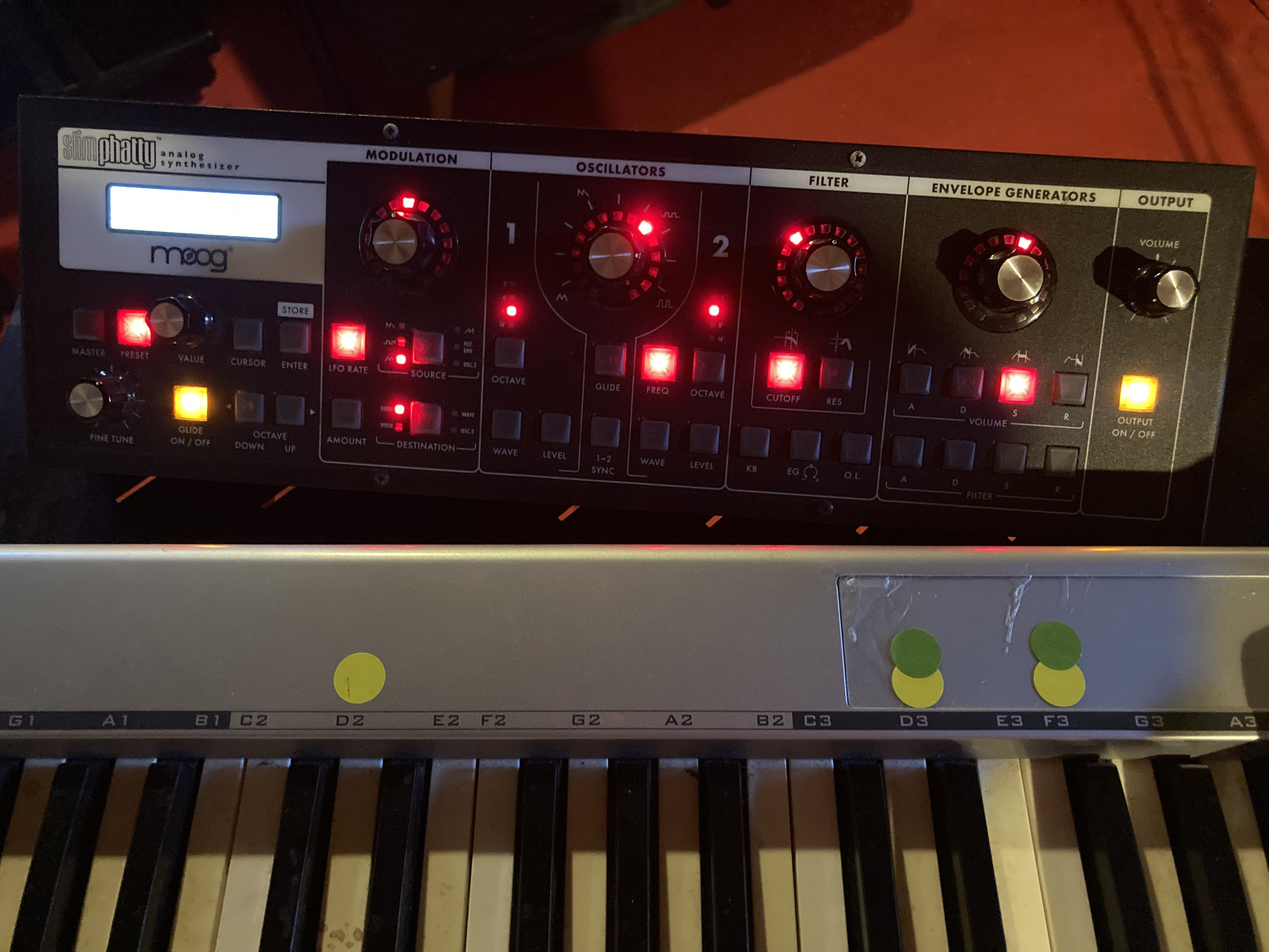 Moog Slimphatty - petit mais costaud