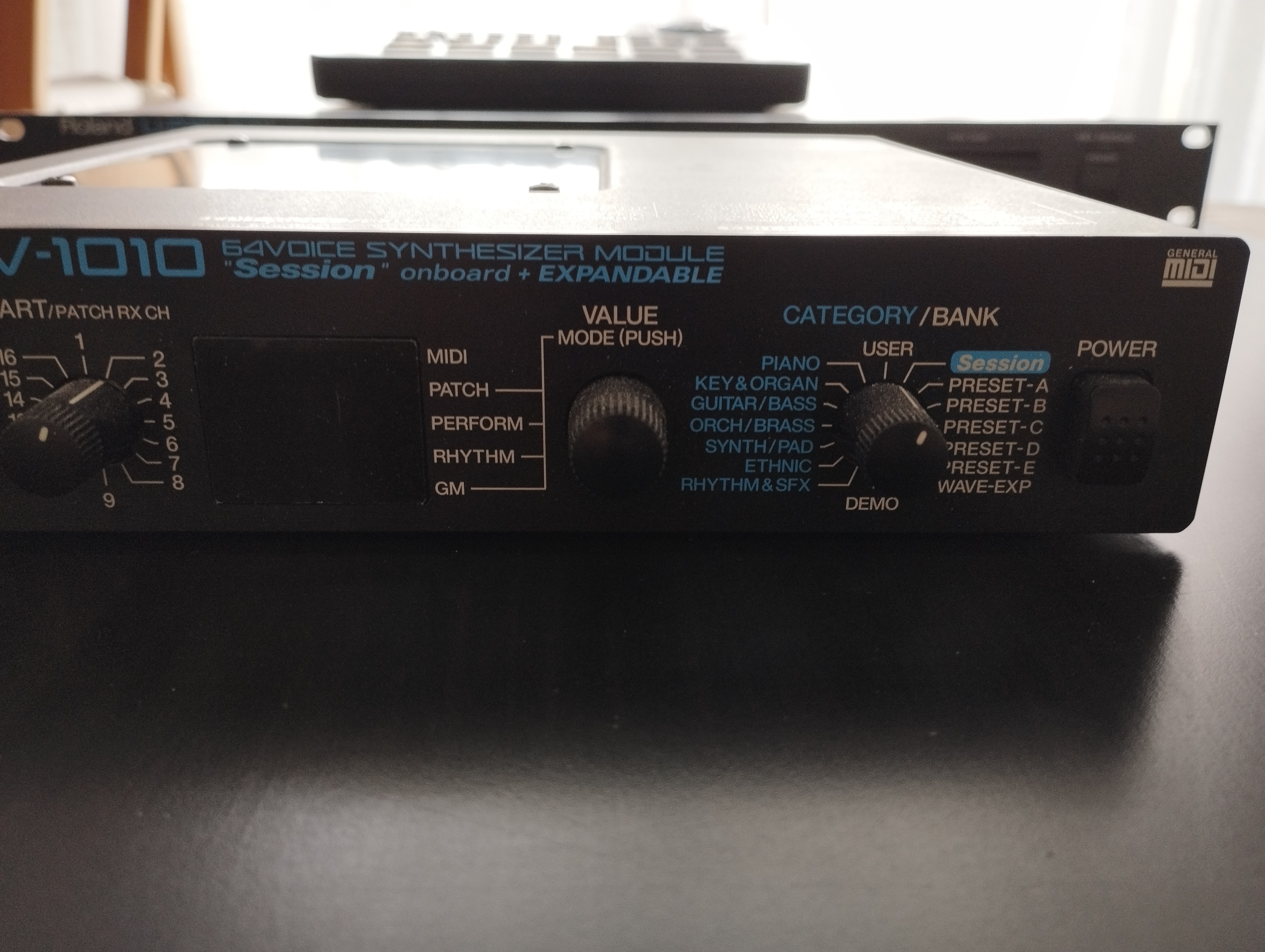Roland JV-1010 (4289)