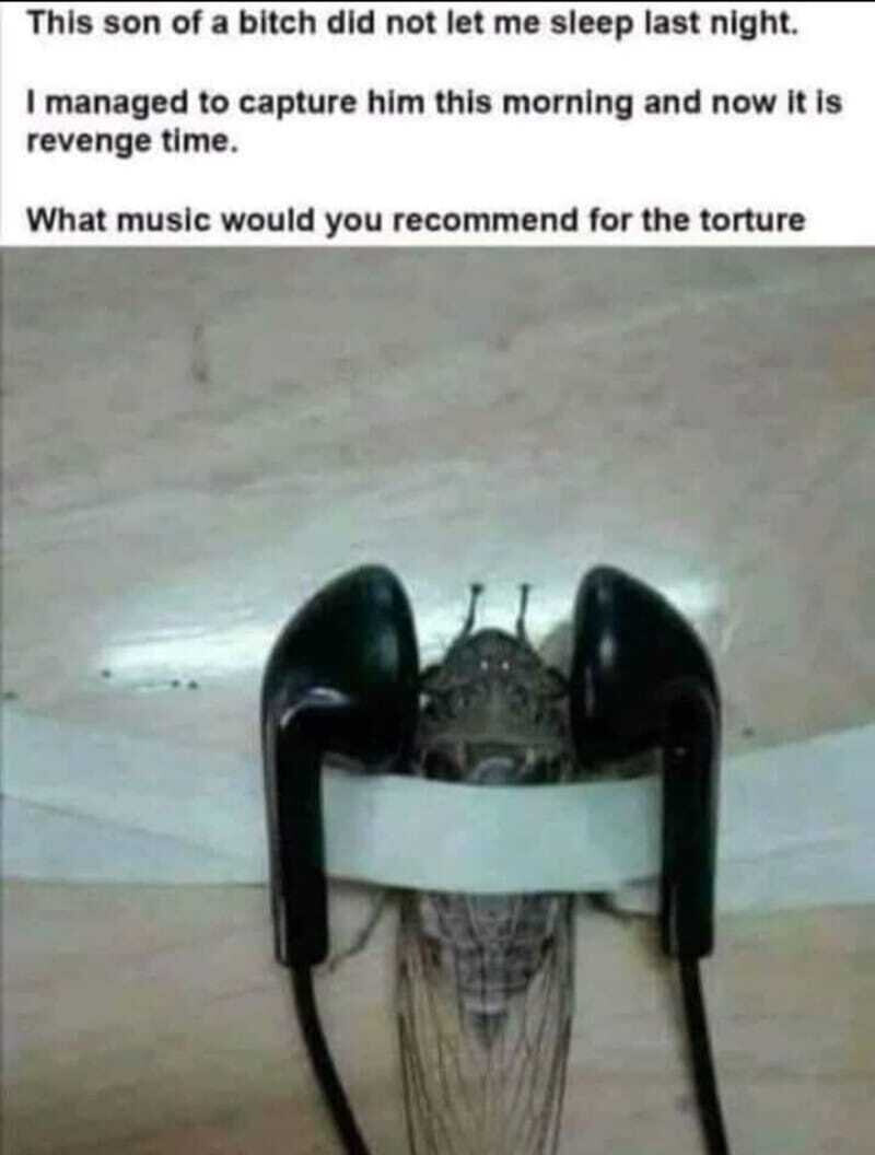 6918346.jpeg 6918346.jpeg