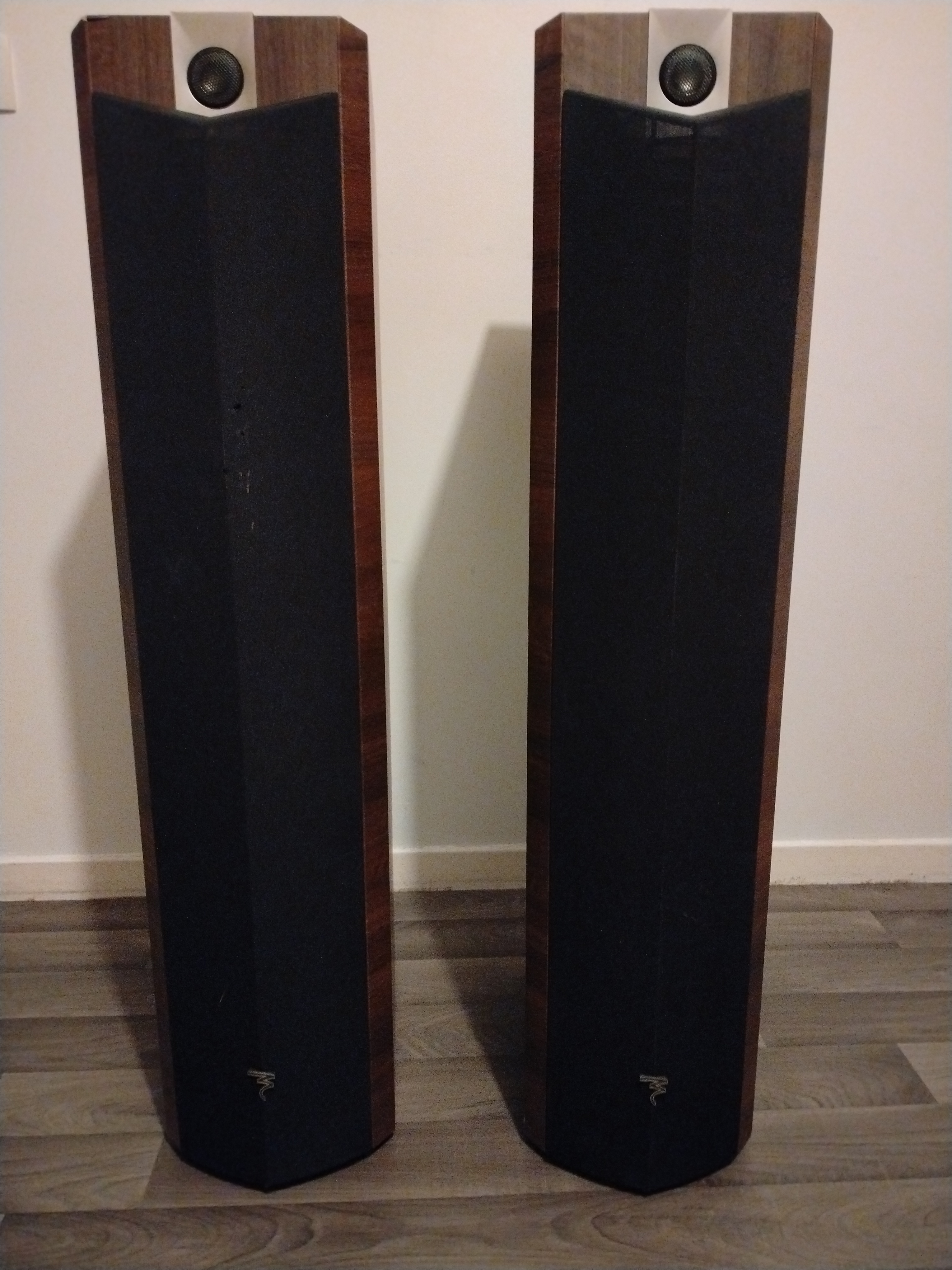 Enceinte Hi-Fi Focal Caisson de Bassease Titan