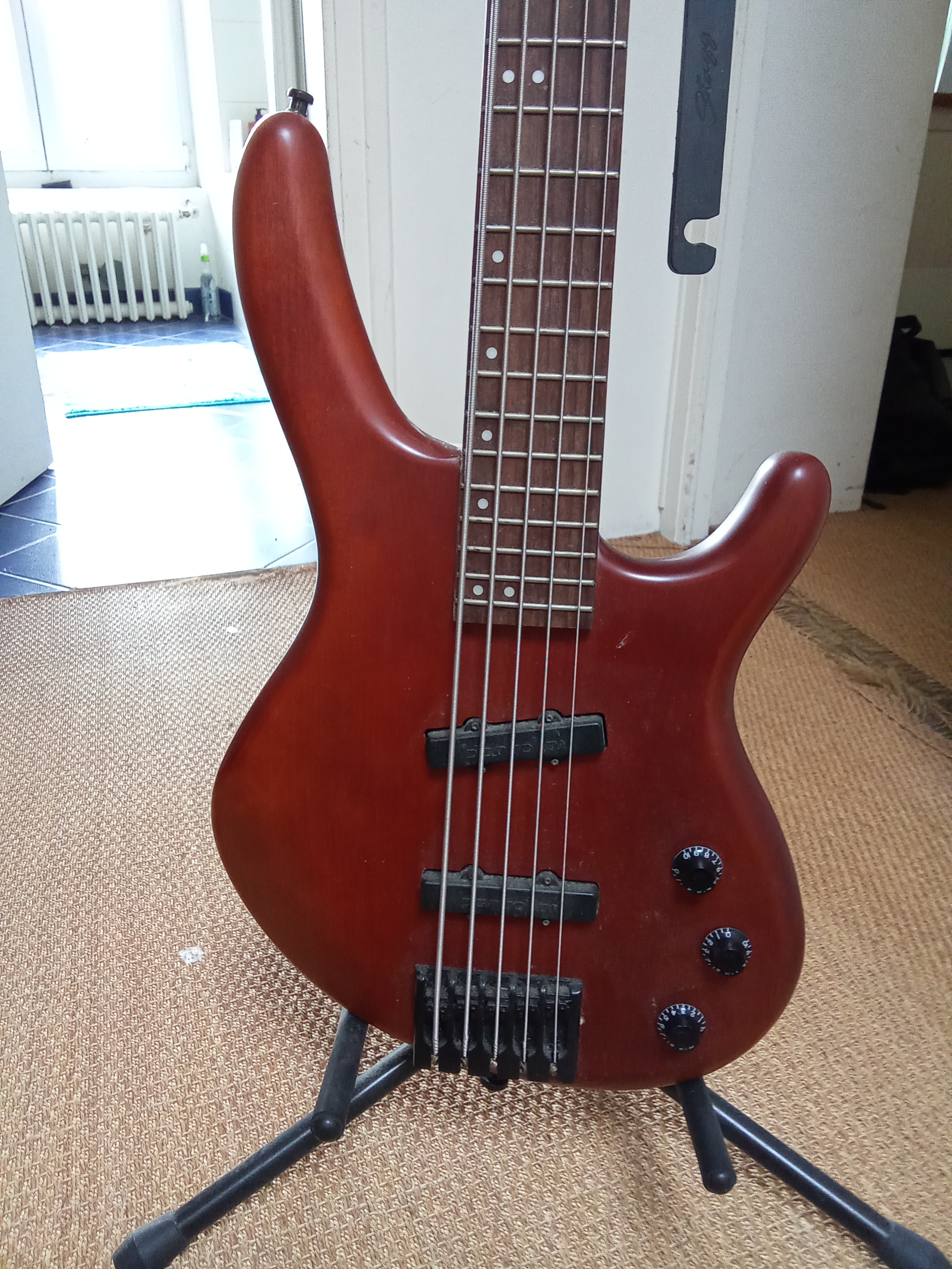 Basse Cort Avtion V - Micro Bartolini