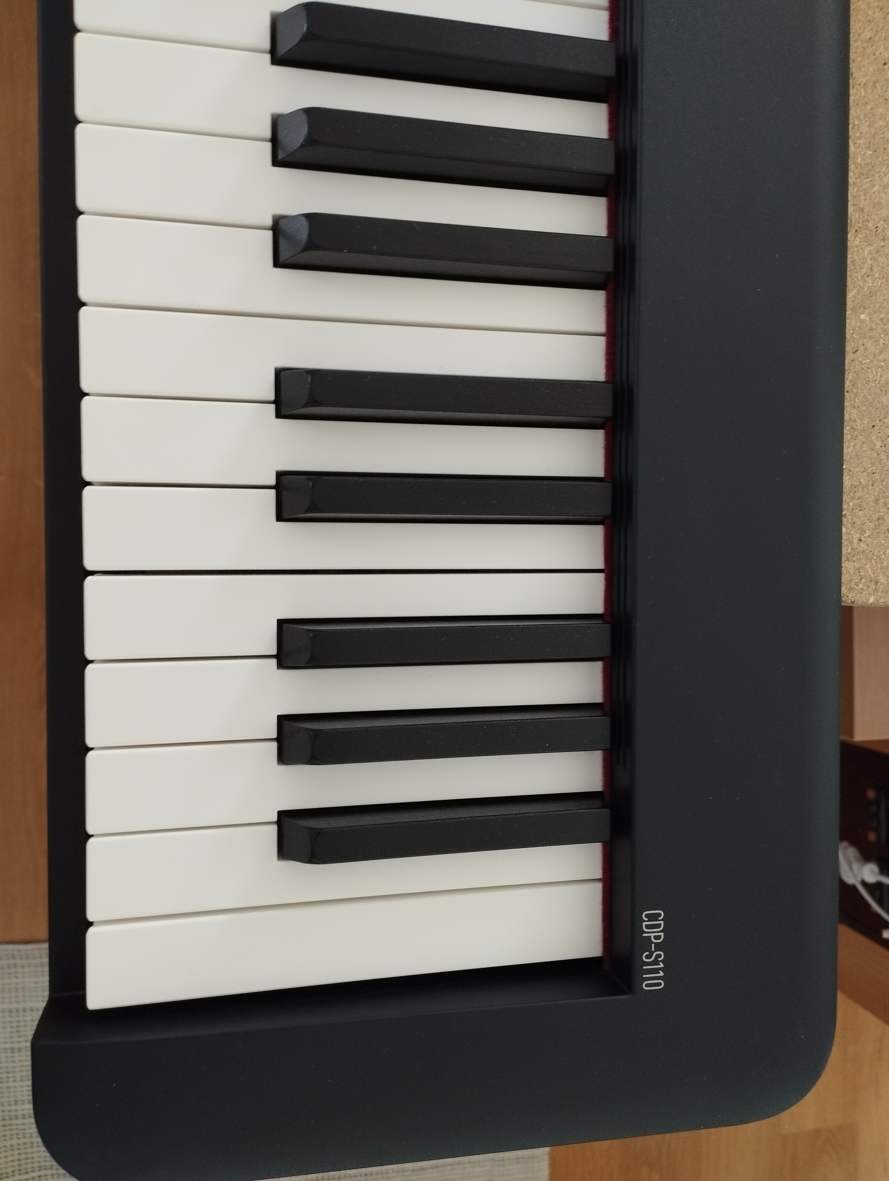 Casio CDP-S110 (26017)
