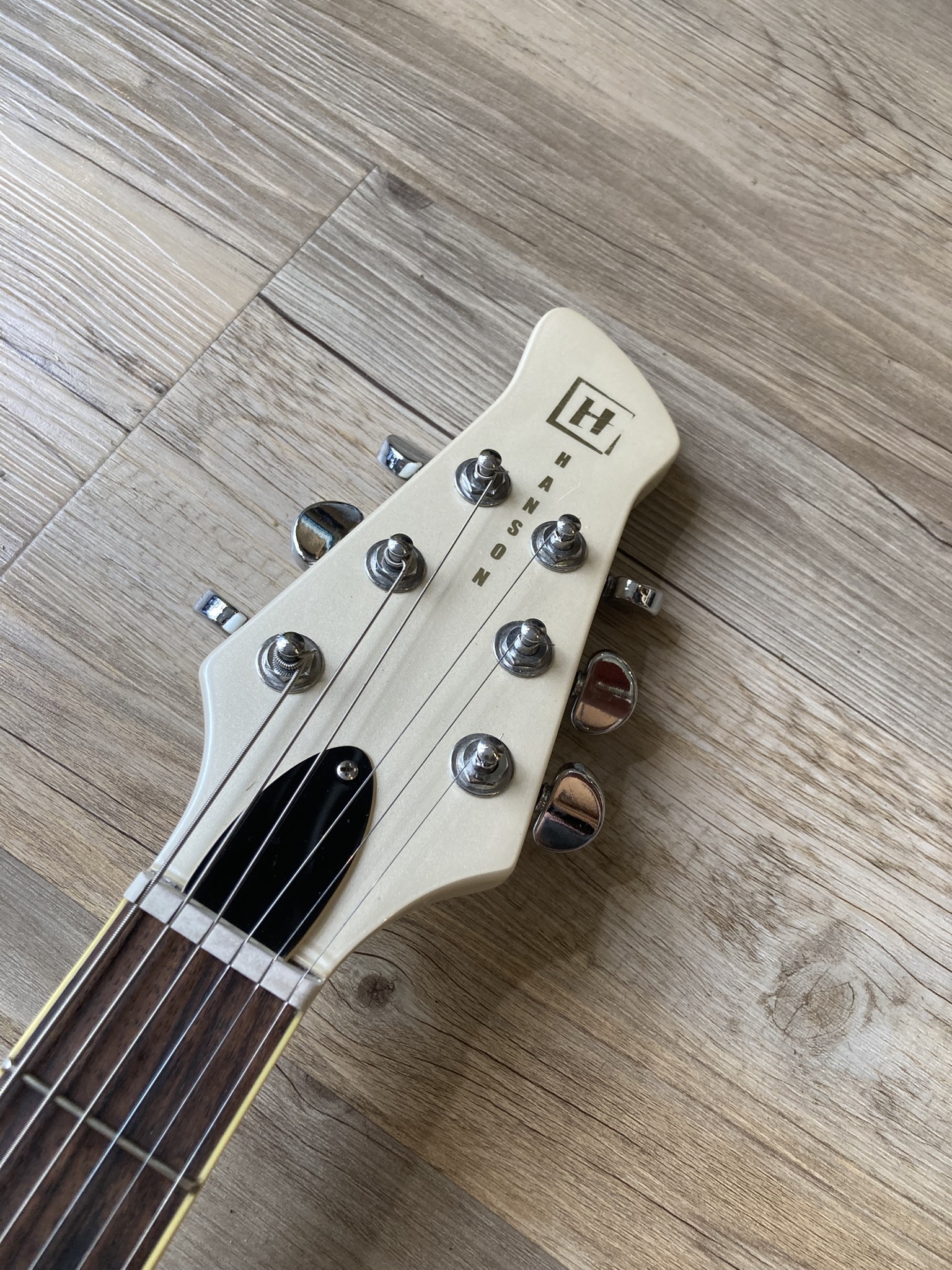 Hanson Gatto (89963)