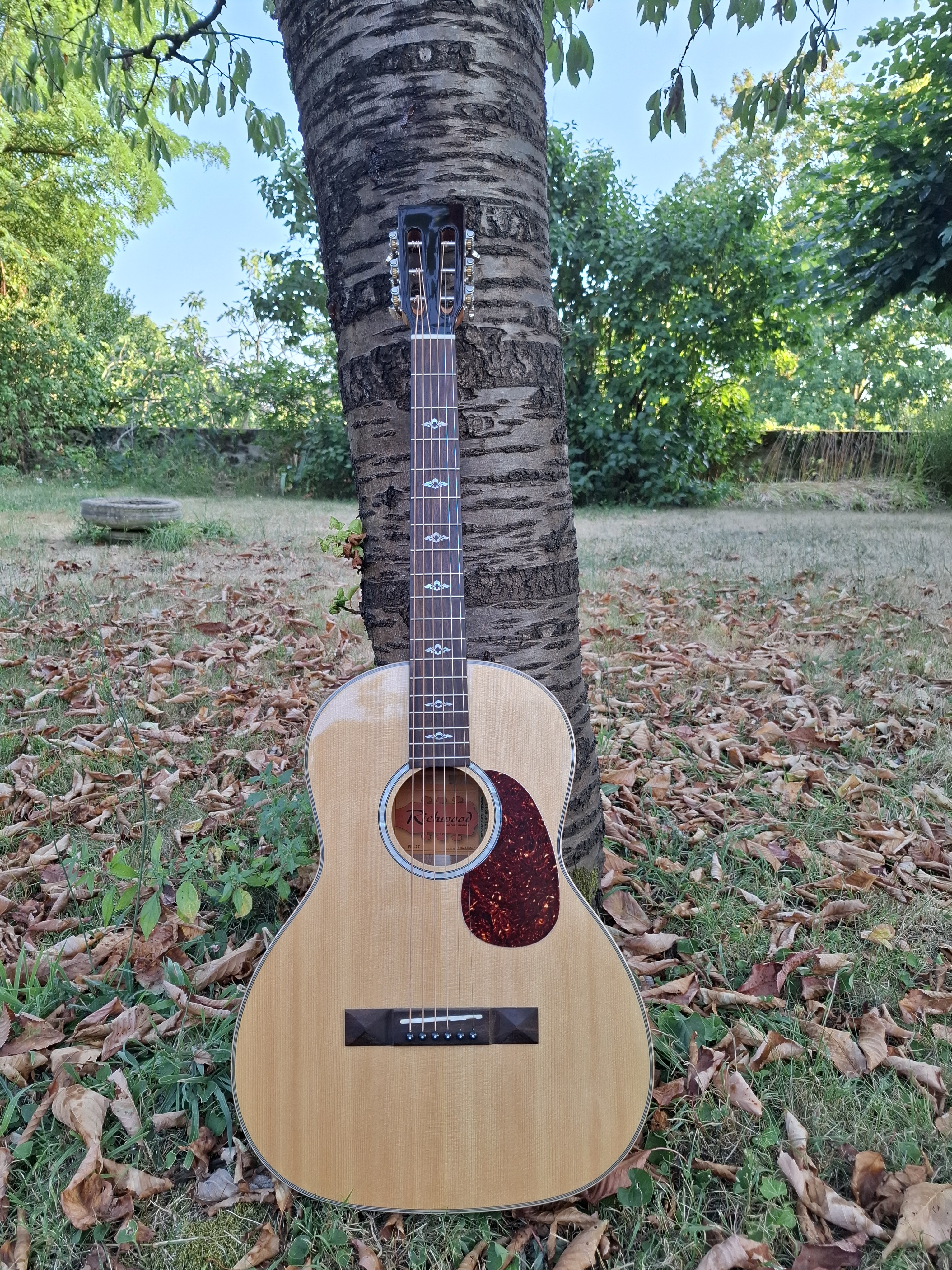 Vends Guitare Richwood RP 27 parlor