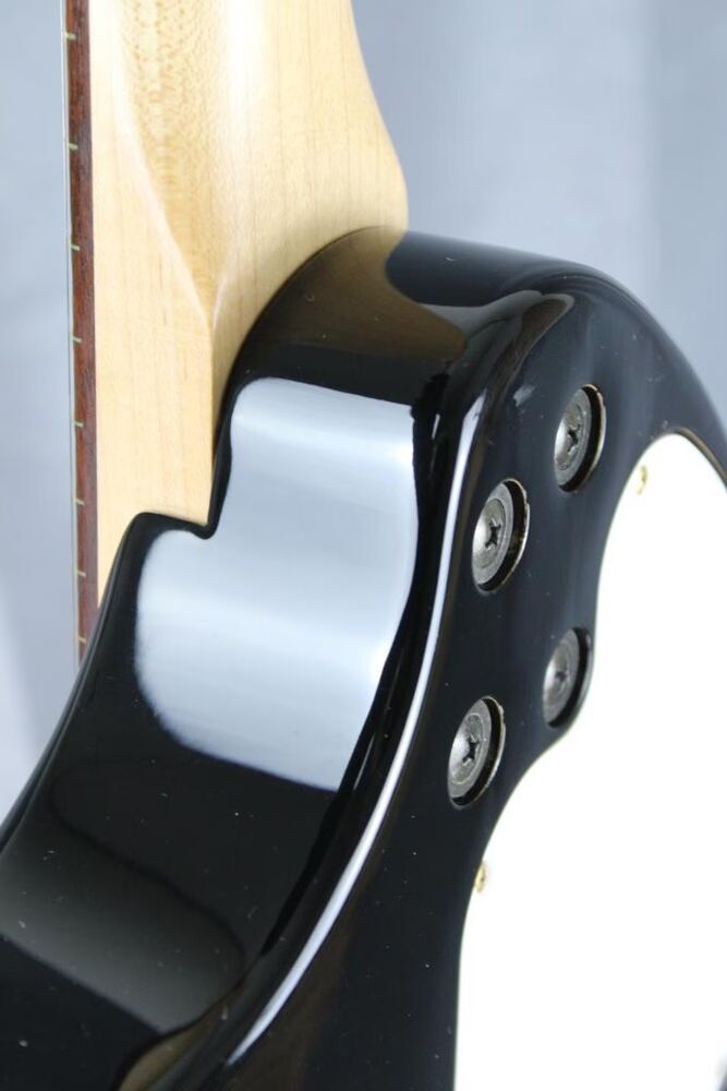 fernandes-mini-zo-4292973