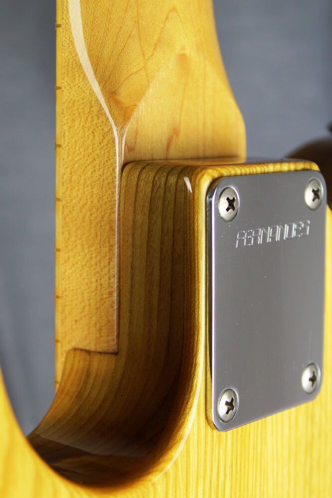 fernandes-telecaster-the-4552987
