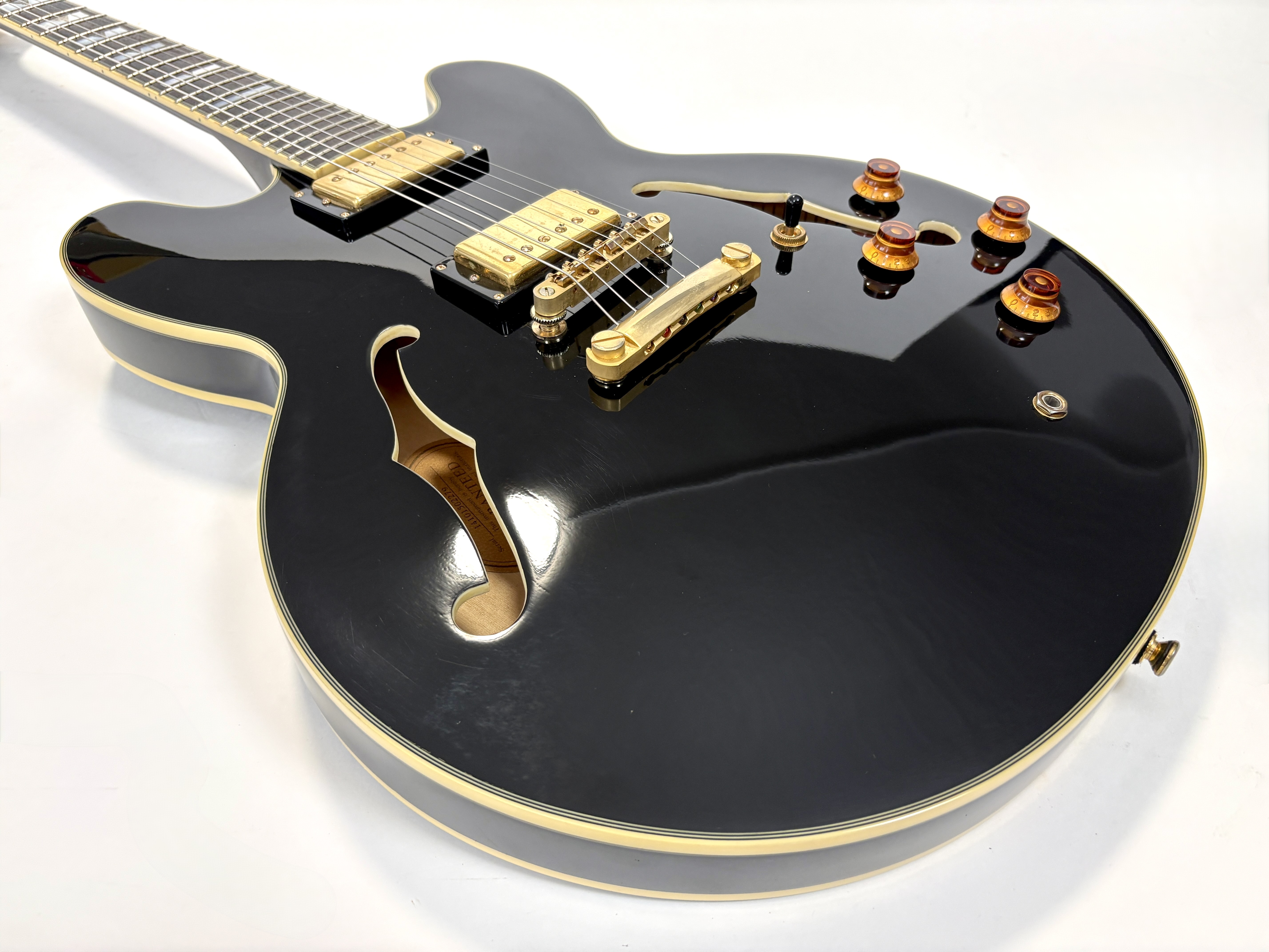 Epiphone Sheraton II (4404)
