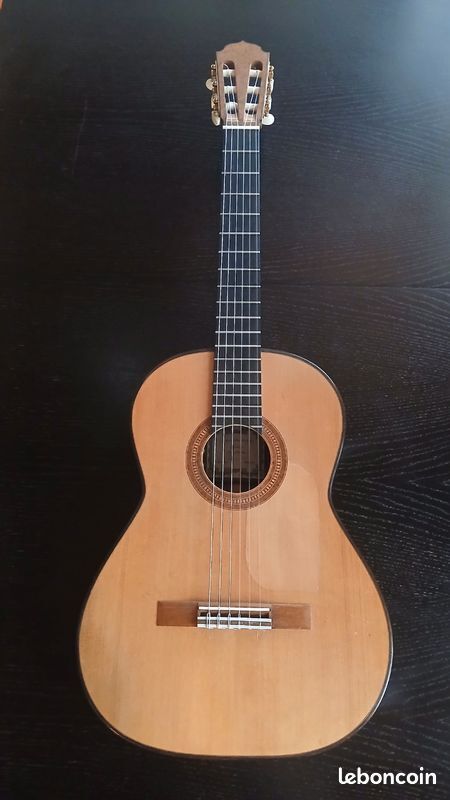 Guitare de concert Jasper Sender amplifiée