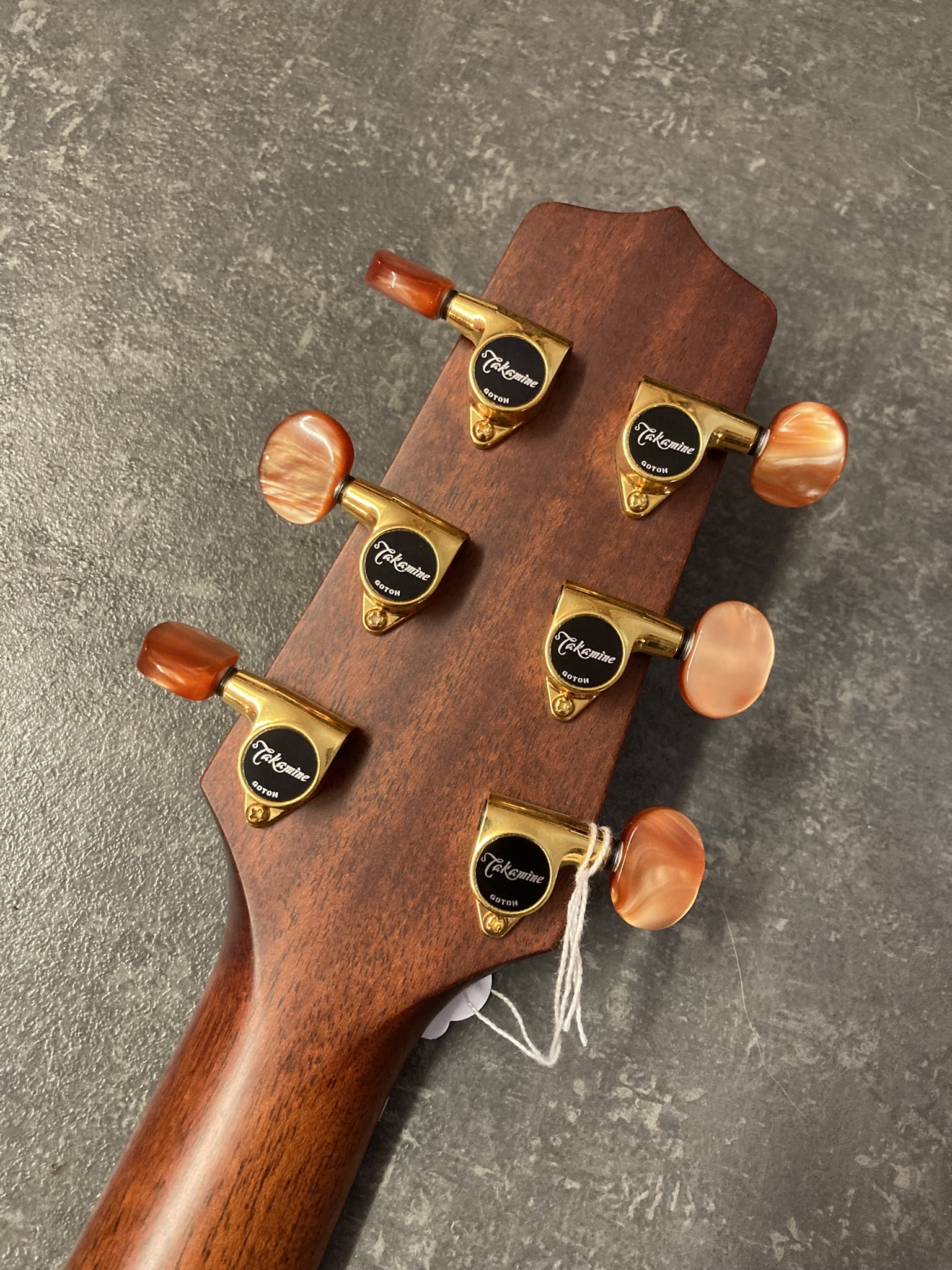 Takamine TAN10C (69)