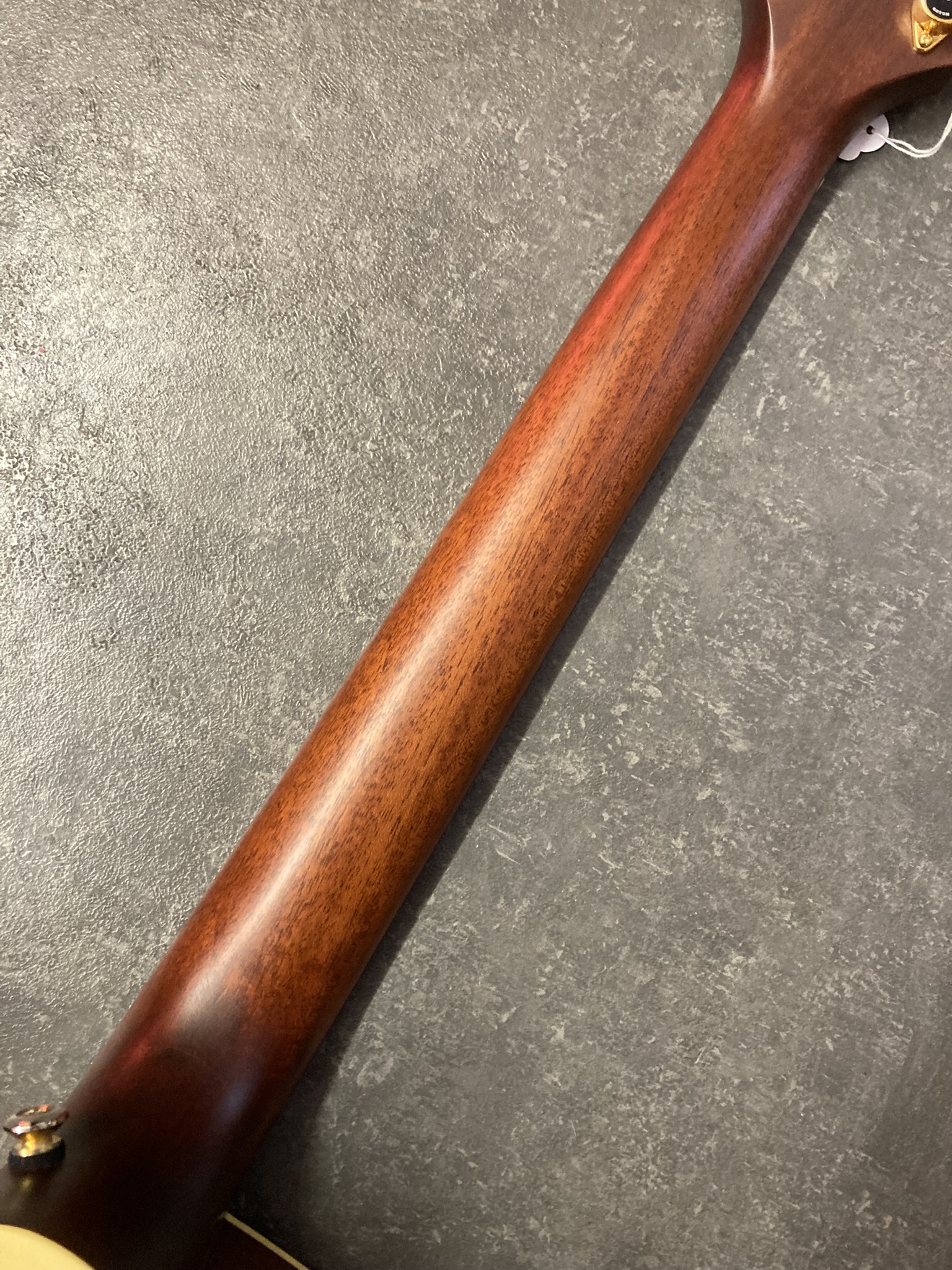 Takamine TAN10C (92798)