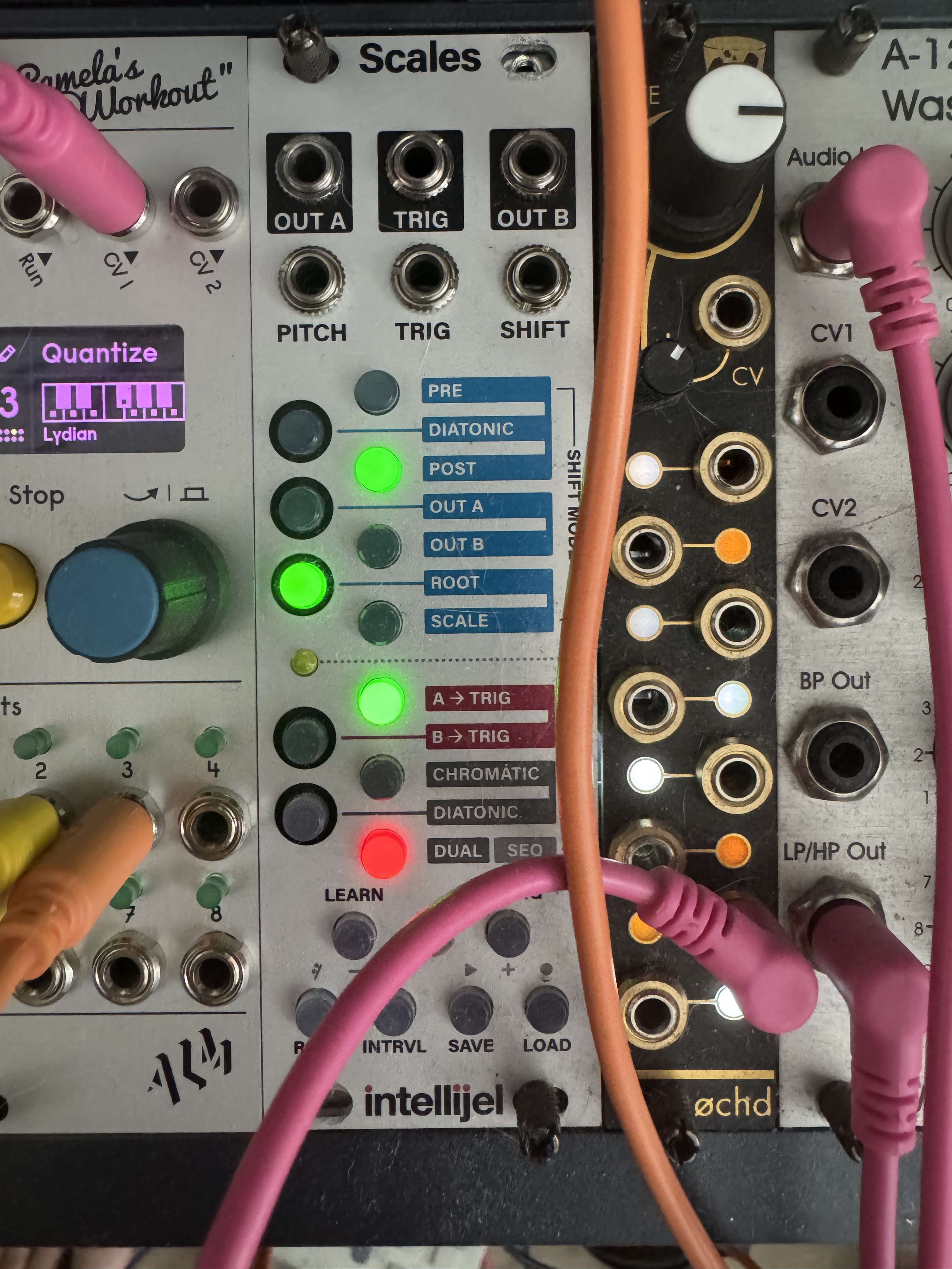 Intellijel Scales
