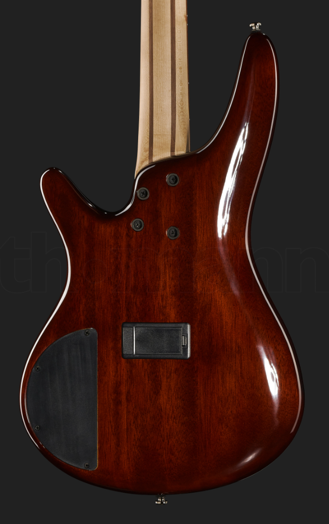 Ibanez dos fond noir