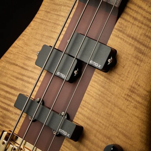 Euro 4 Rex Brown SignaturePickups Euro 4 Rex Brown SignaturePickups