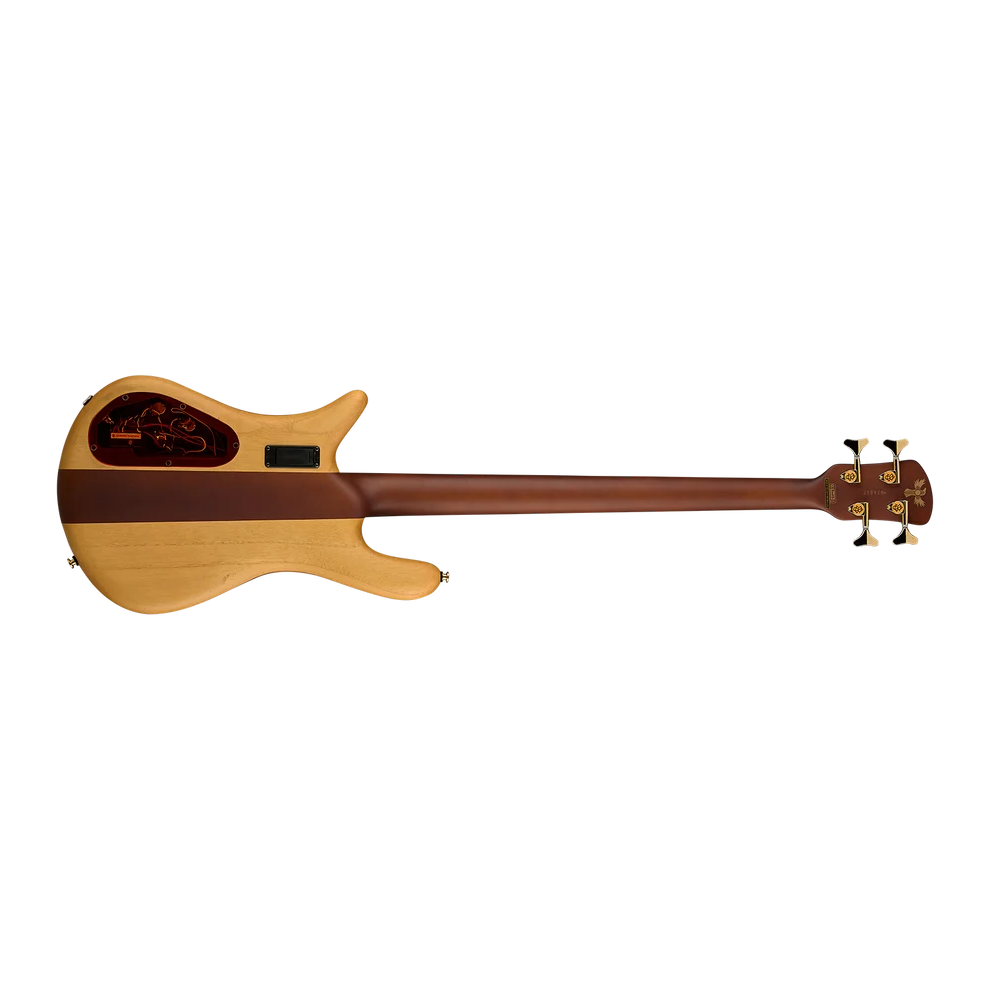 Euro 4 Rex Brown SignatureREAR