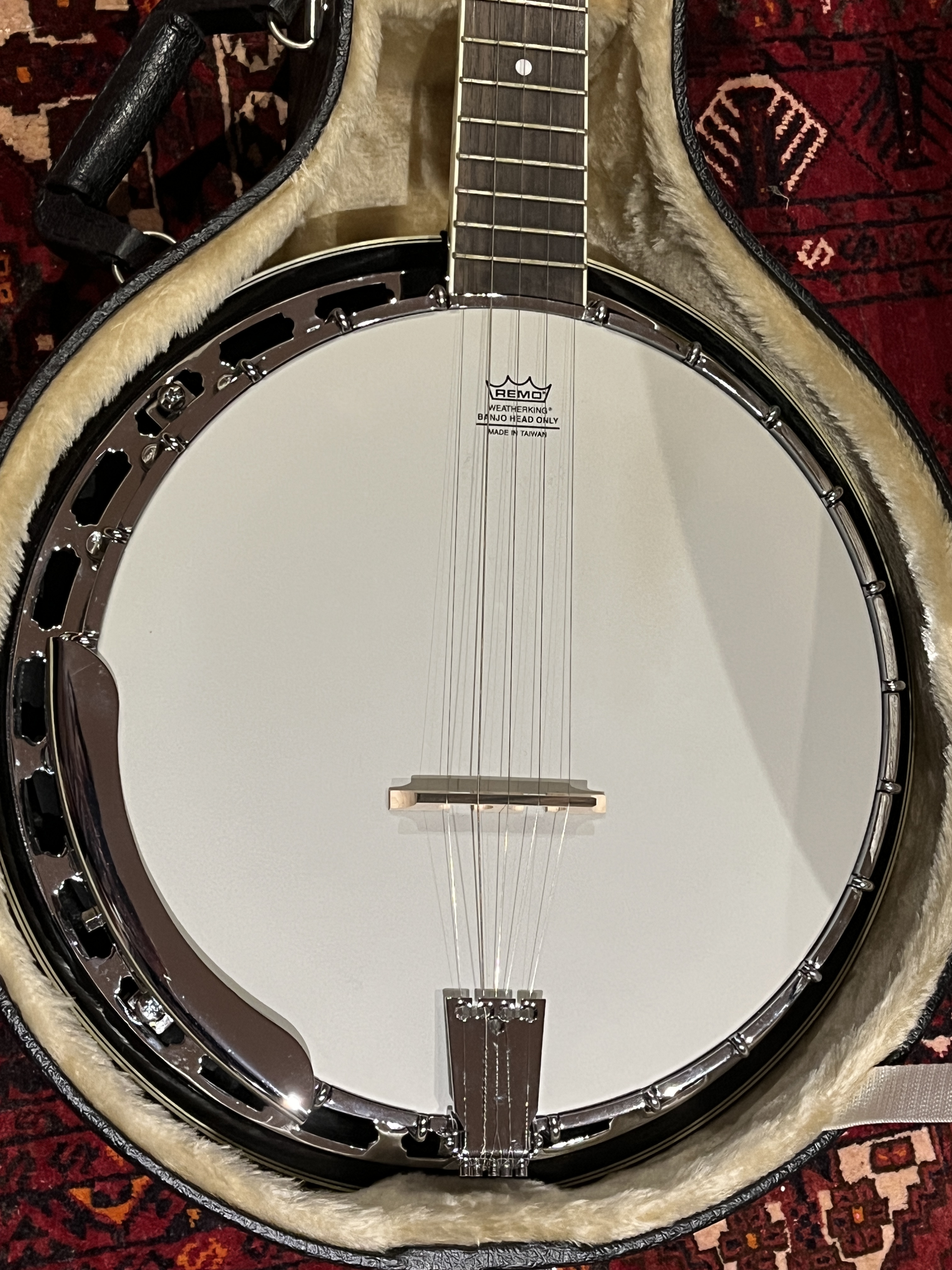 Washburn B14 (65342)