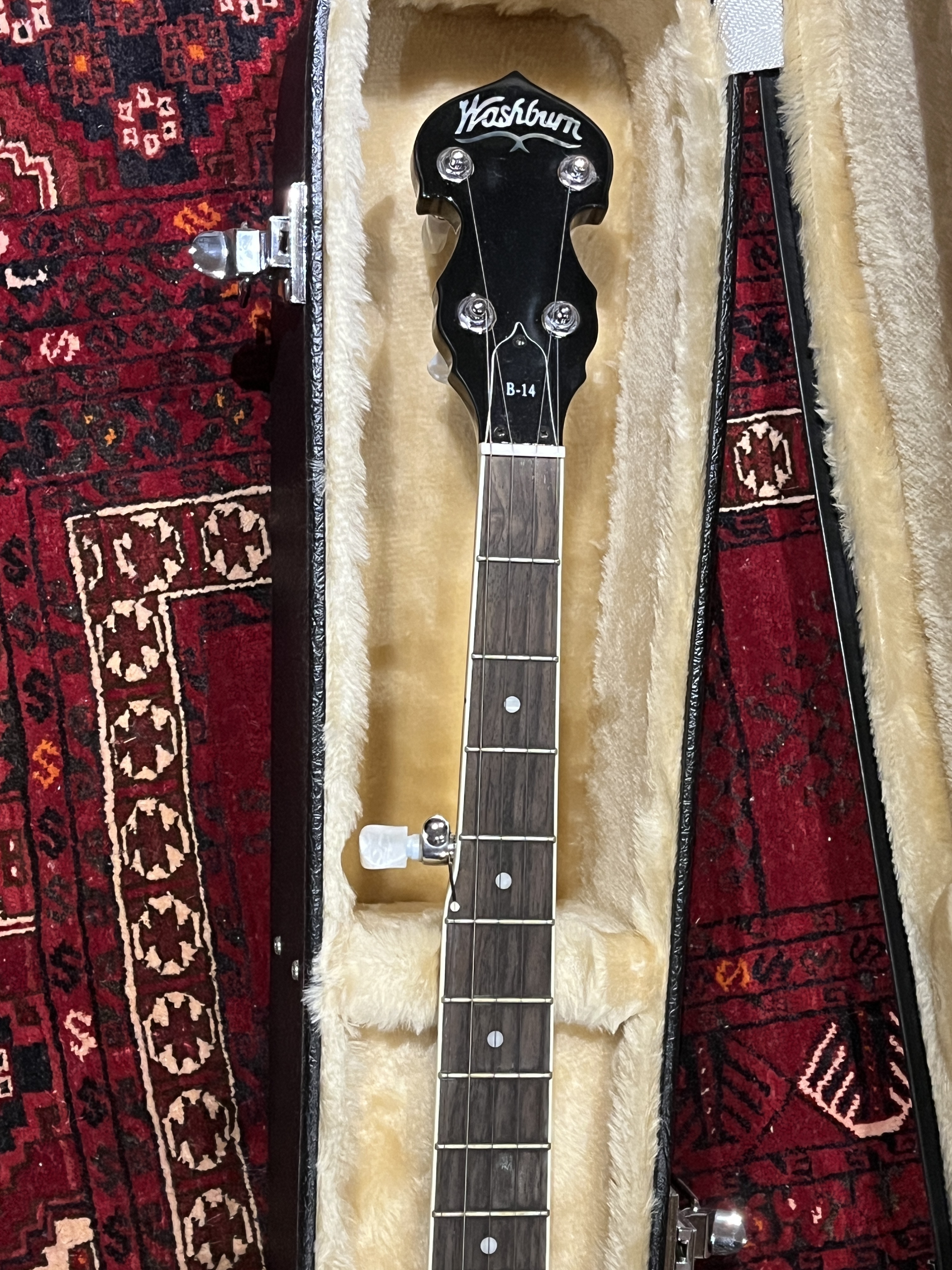 Washburn B14 (16845)
