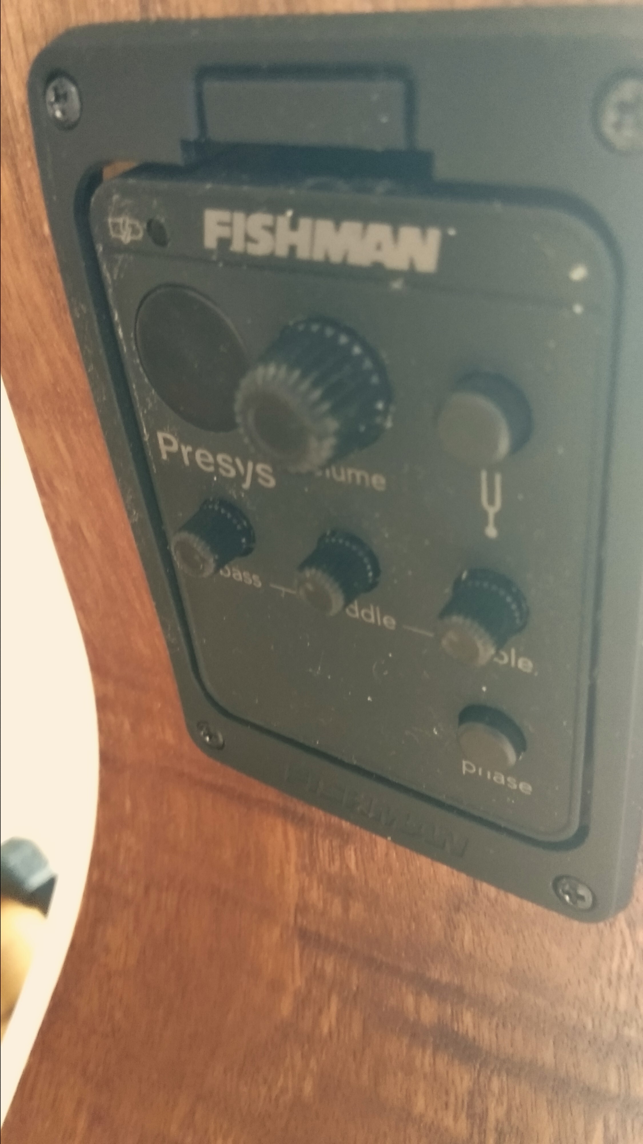 9 fishman presys