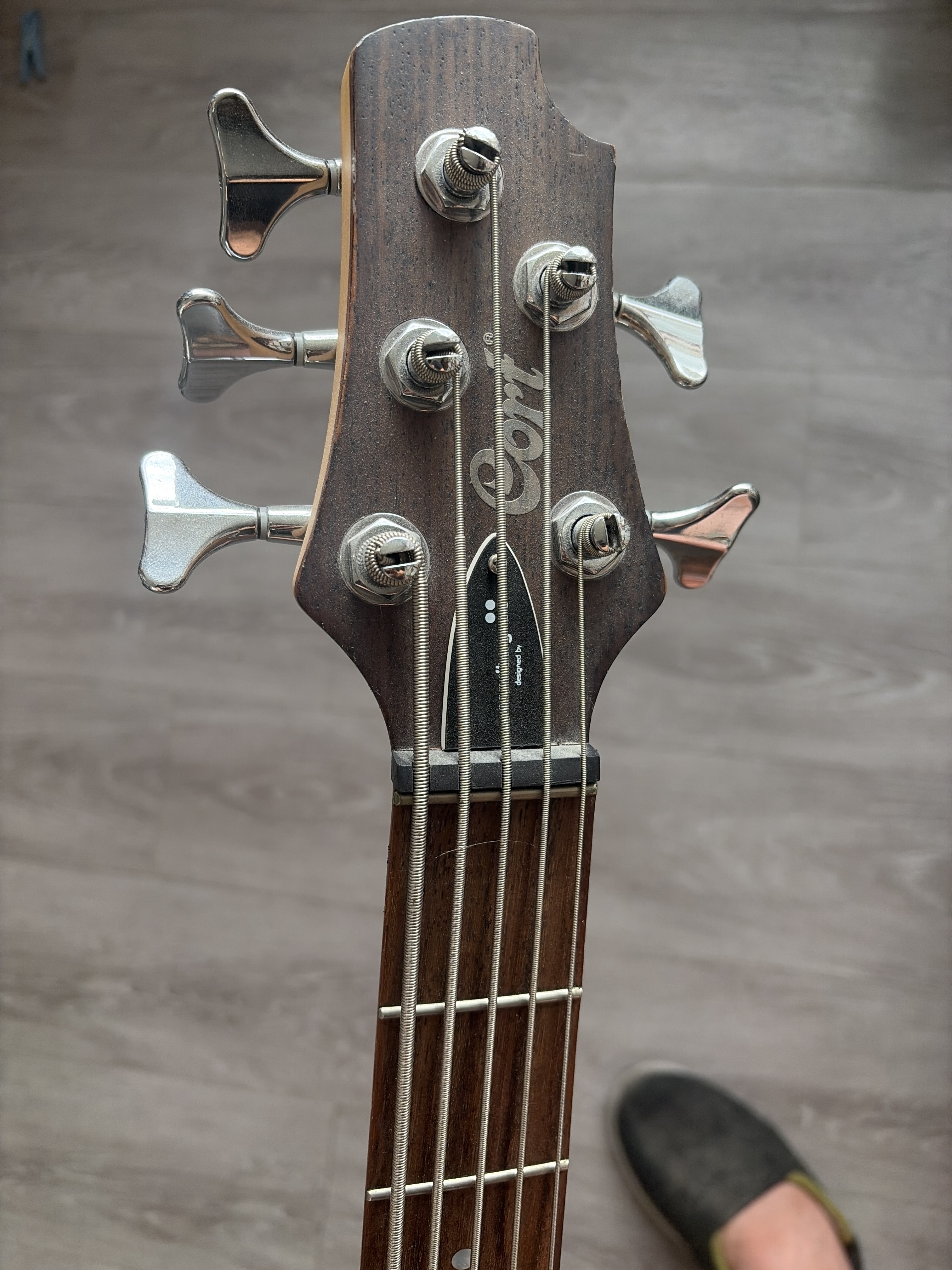 Cort Arona 5 (64097)