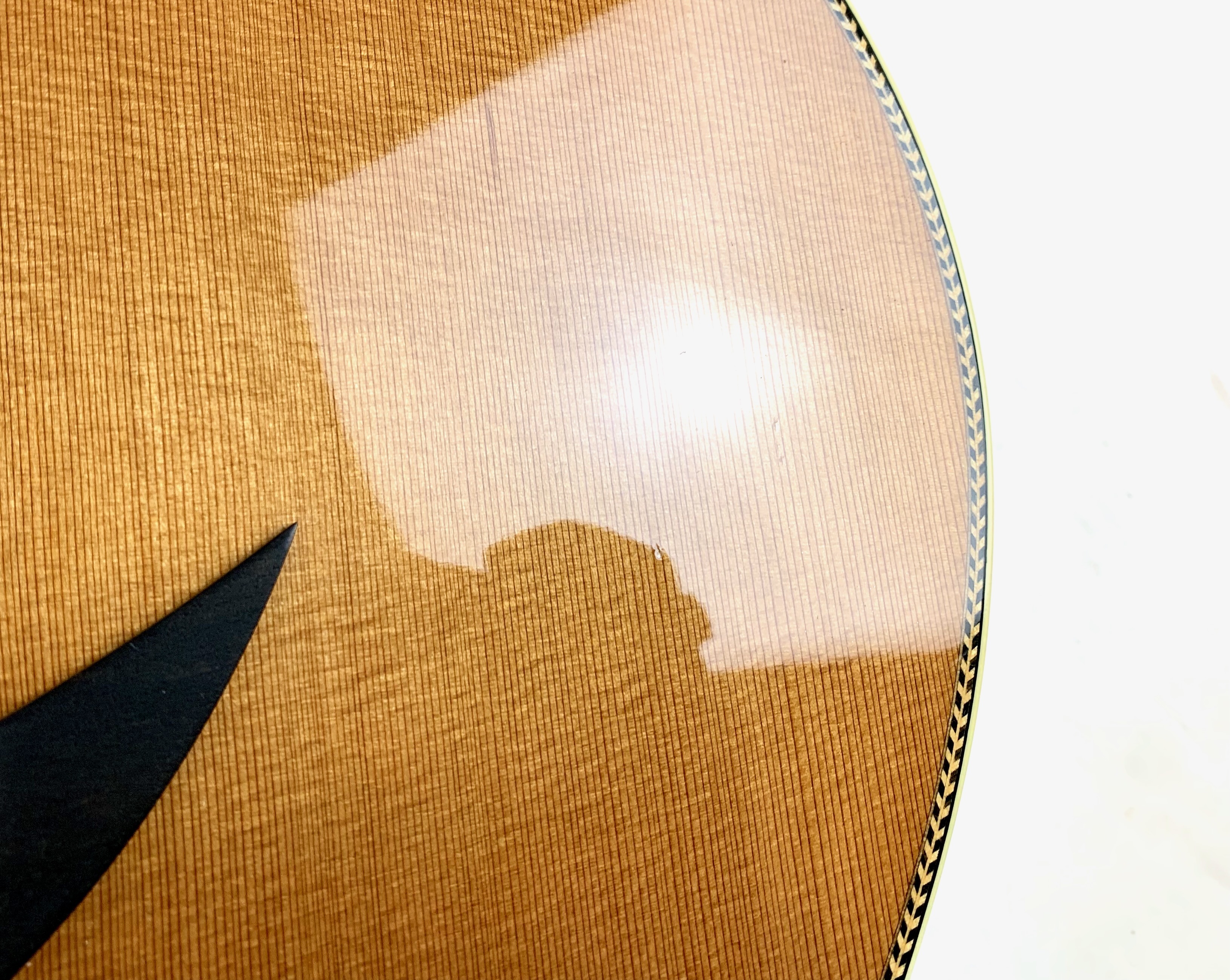 Breedlove C25/CRe (17258)