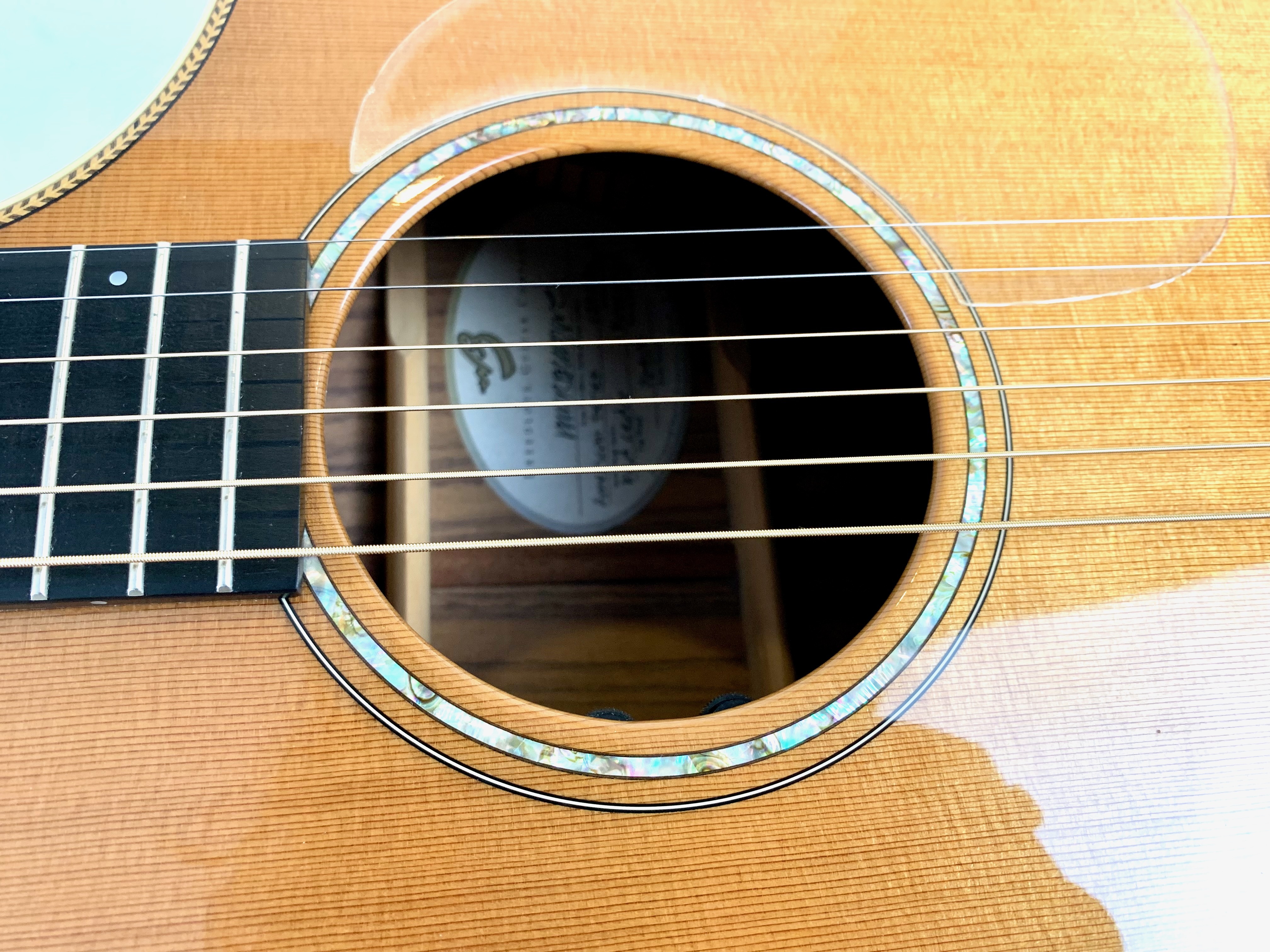 Breedlove C25/CRe (96931)