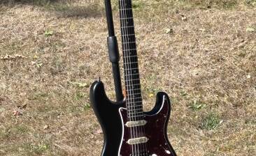 Patina Guitars PS-4