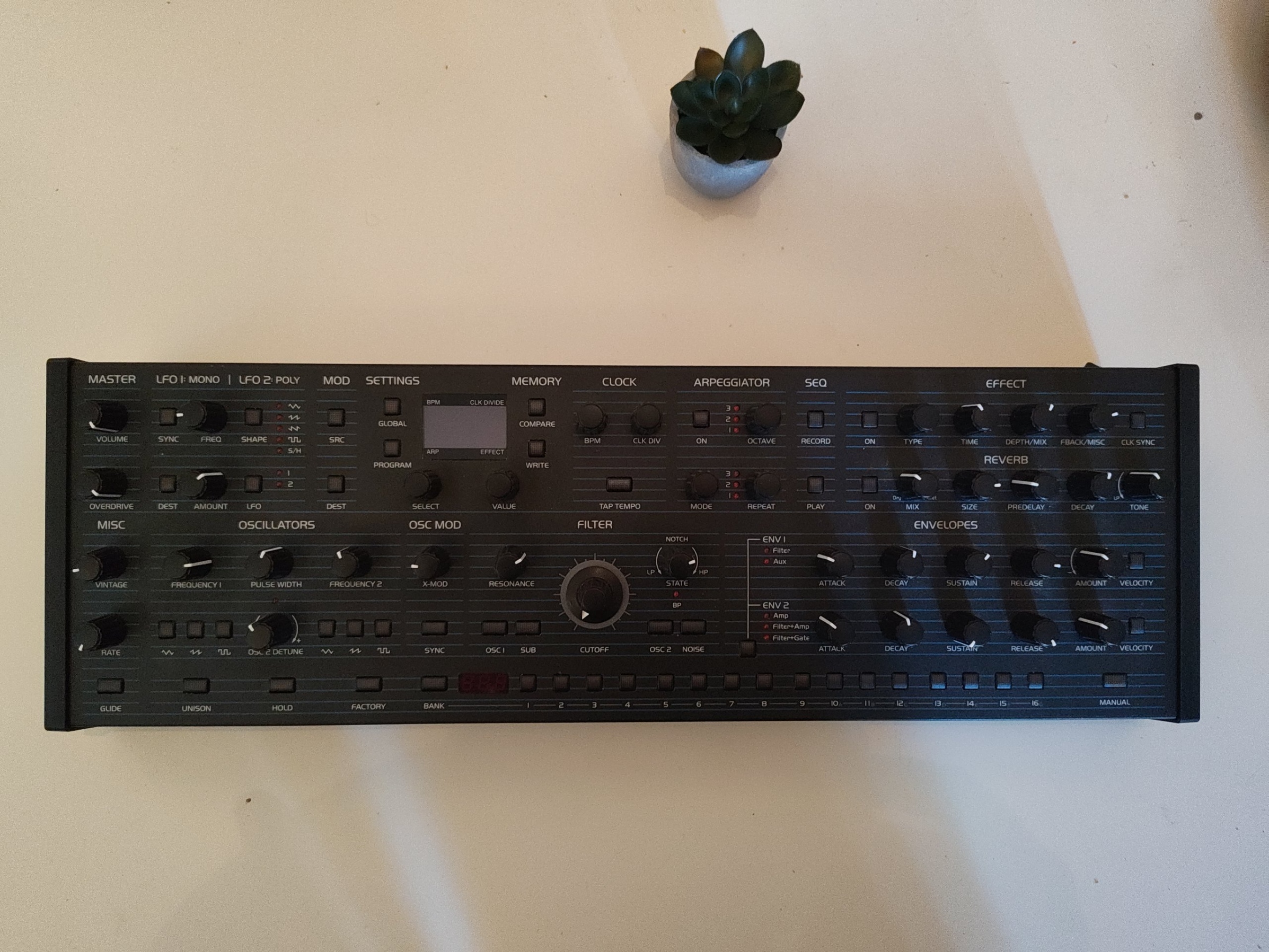 Oberheim TEO-5 Desktop – Excellent synthé analogique