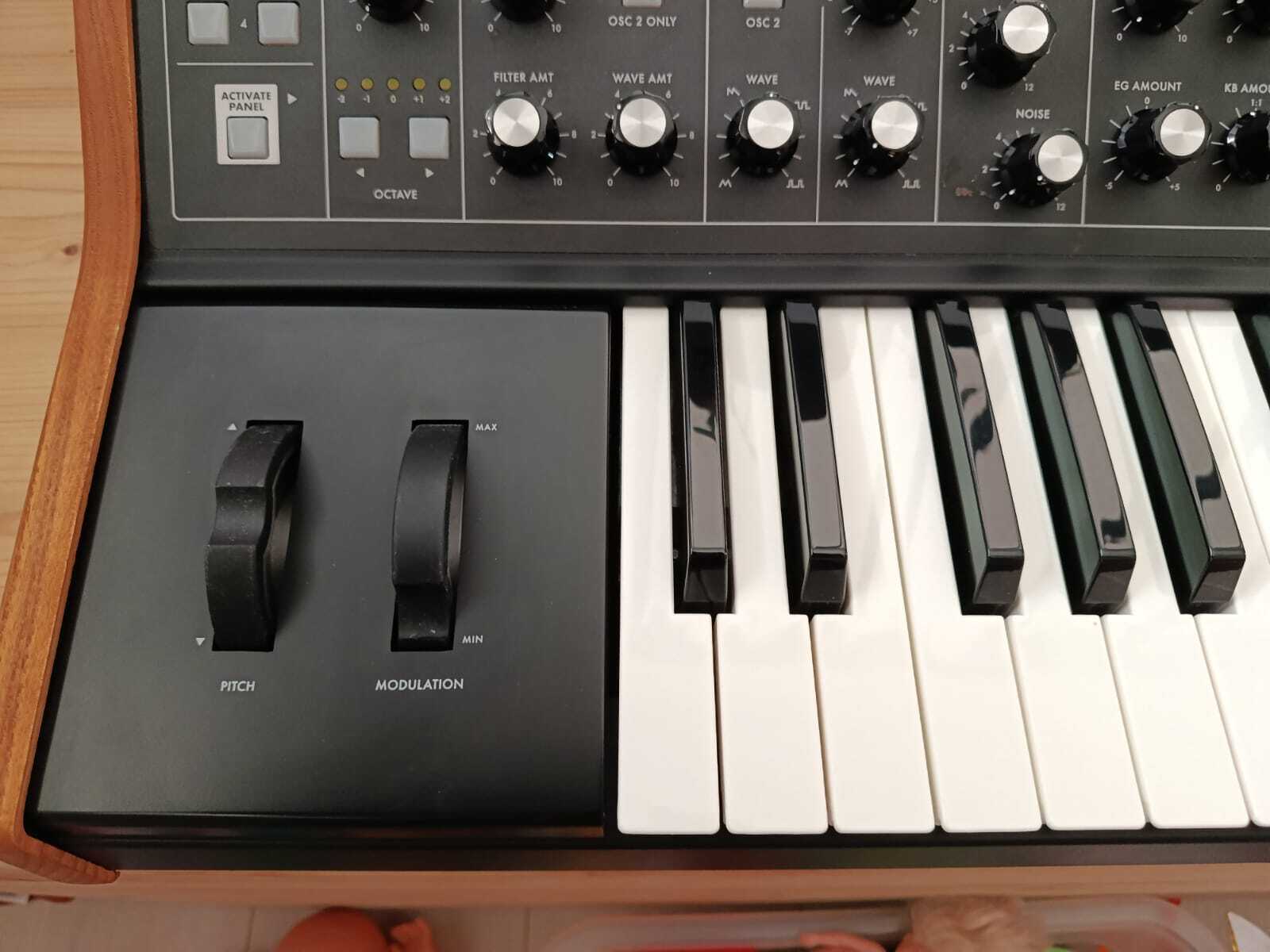 Moog Music Subsequent 25 (77973)