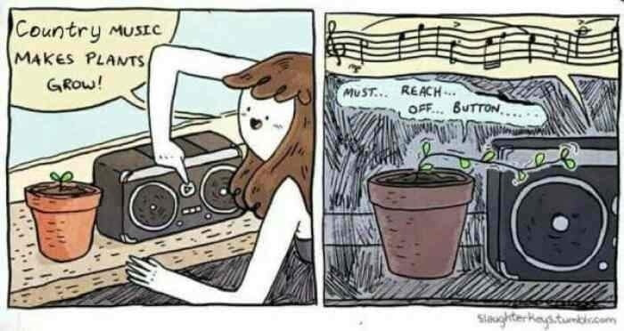 6925335.jpeg 6925335.jpeg