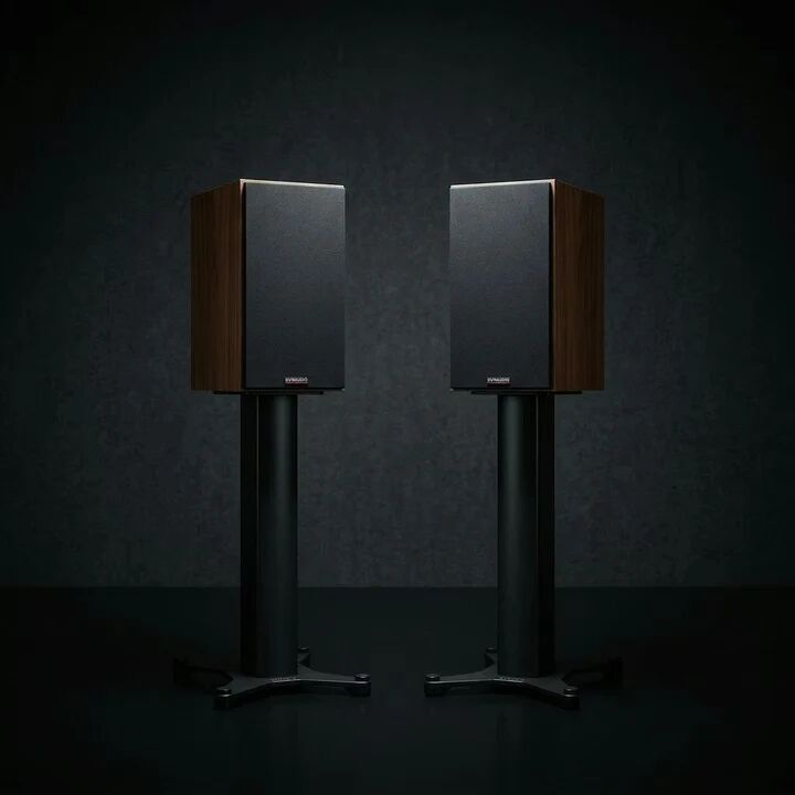 Dynaudio Heritage Special