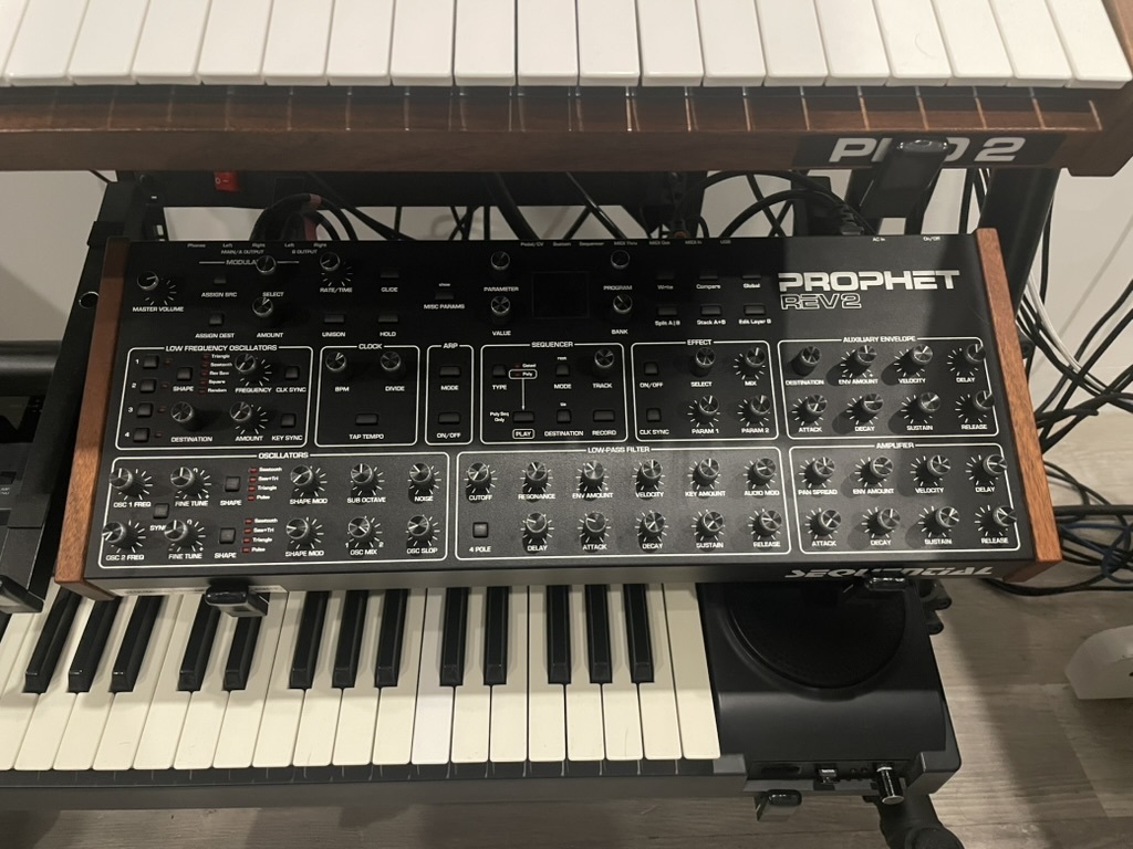 Vends Dave Smith Instruments Prophet Rev2 Module 8 voix