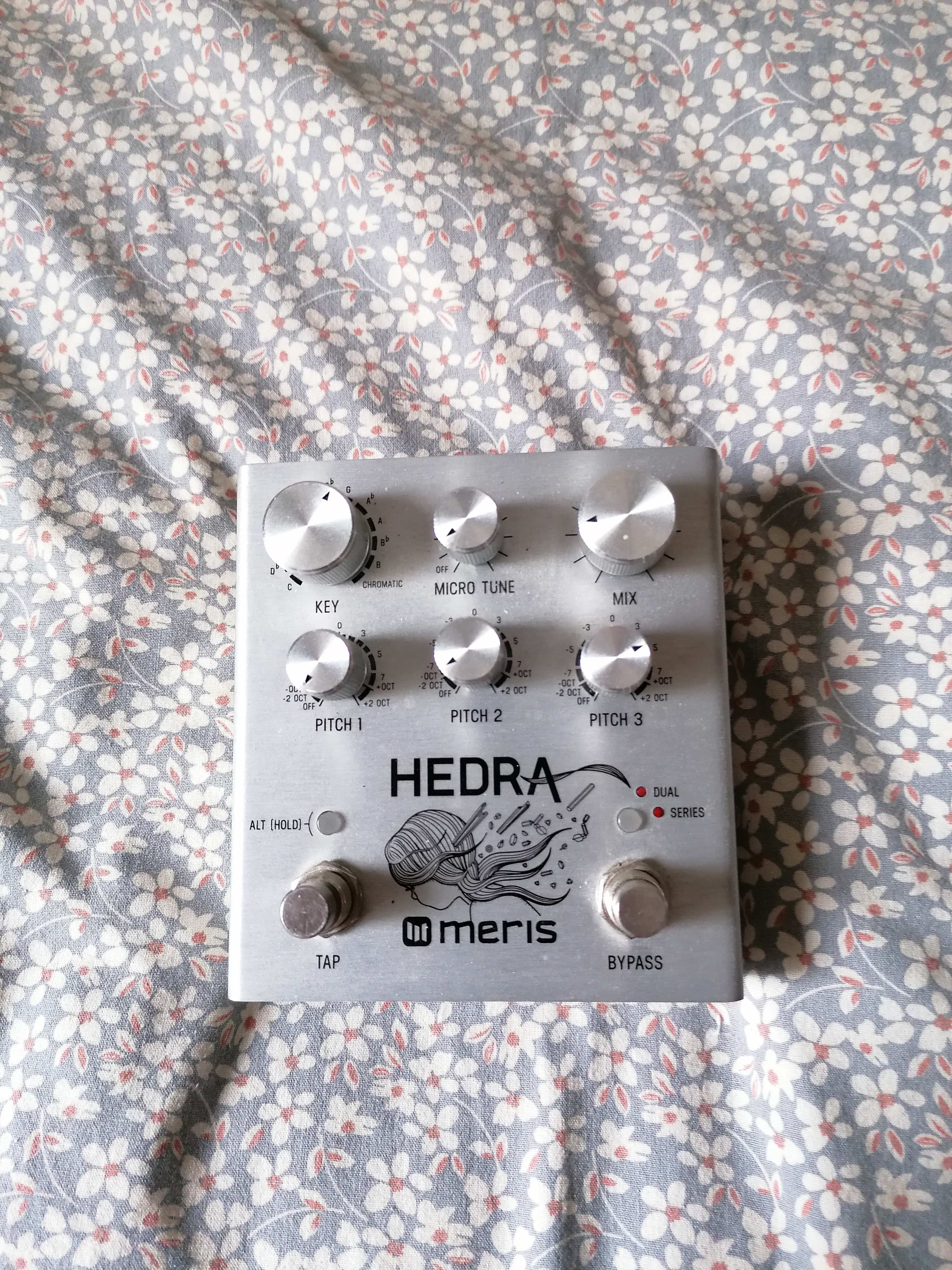 Vends Meris Hedra